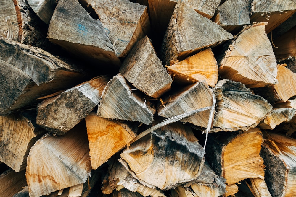 brown wooden logs on gray sand