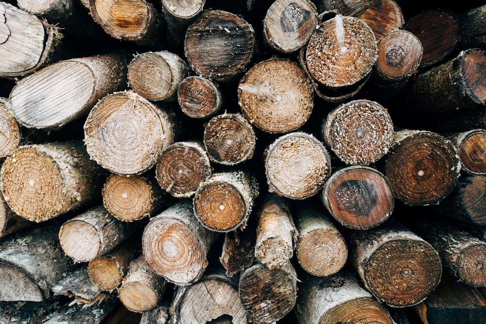 brown and black wood logs