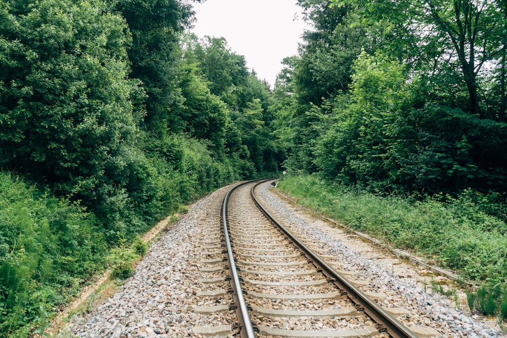 train rail surrounded by green trees during daytime