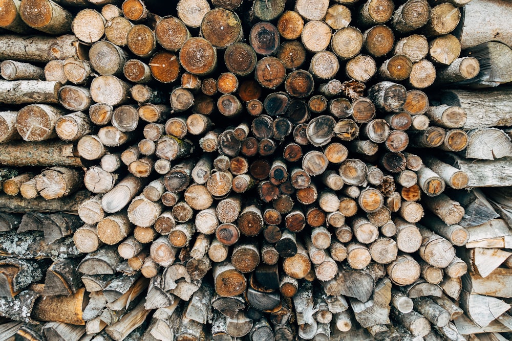 pile of brown and black wood logs