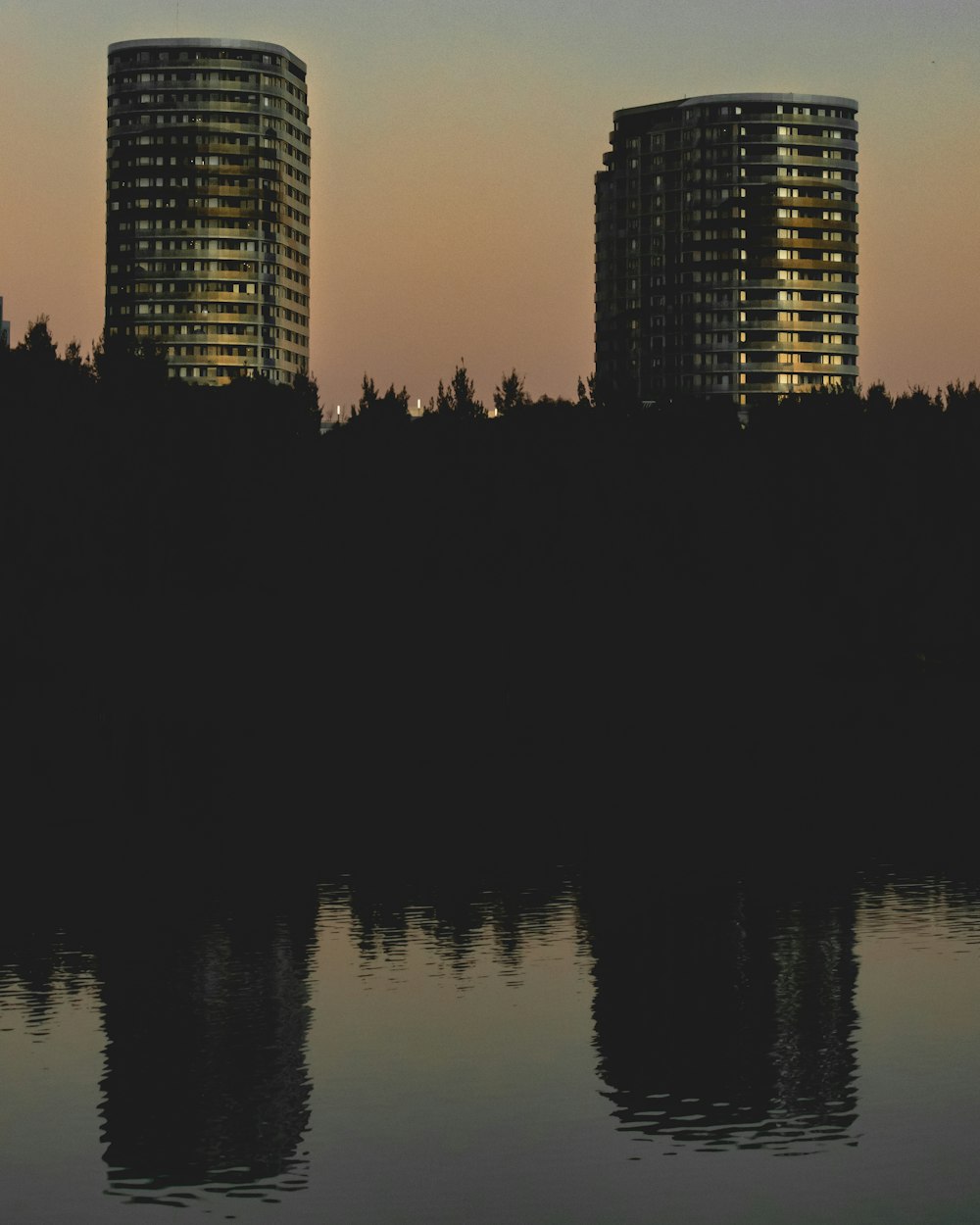 silhouette of trees near body of water during sunset