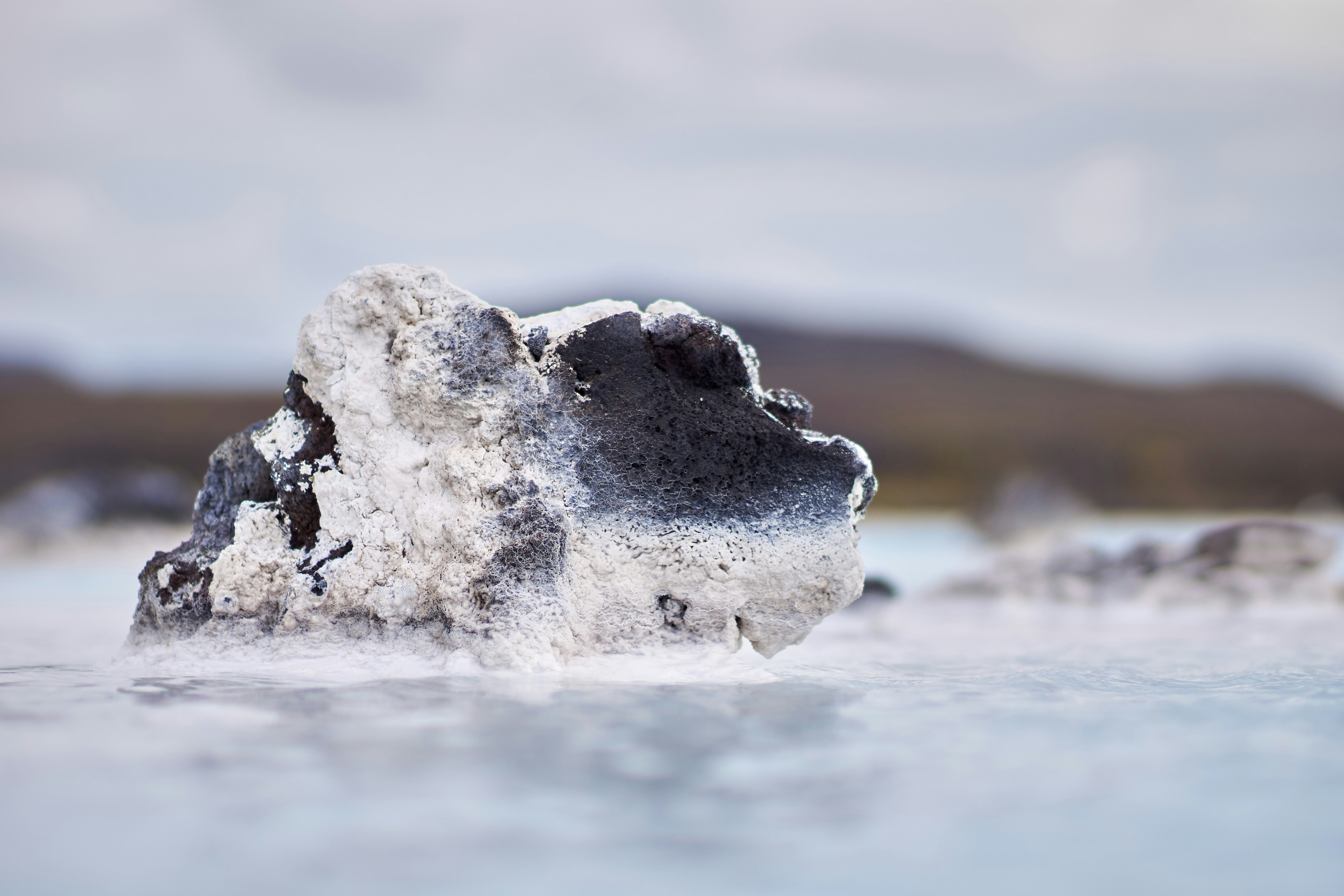 Photo by wolfgang_hasselmann