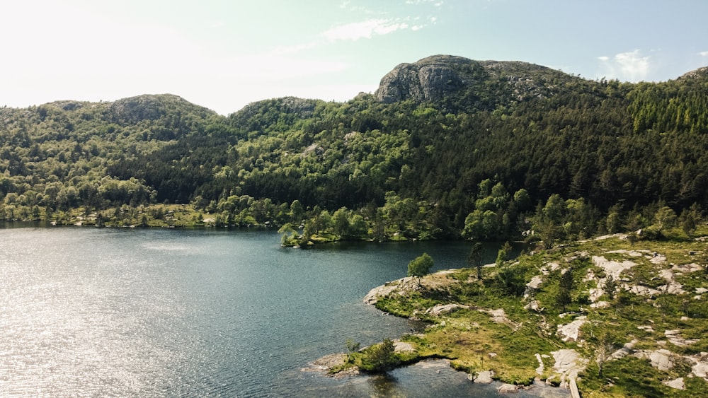 green trees on mountain beside river during daytime