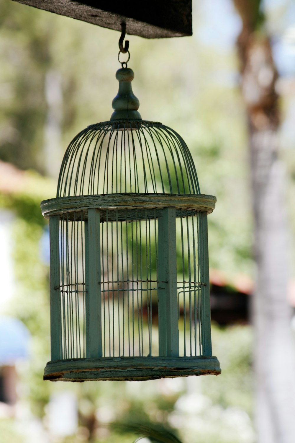 cage à oiseaux en acier vert pendant la journée