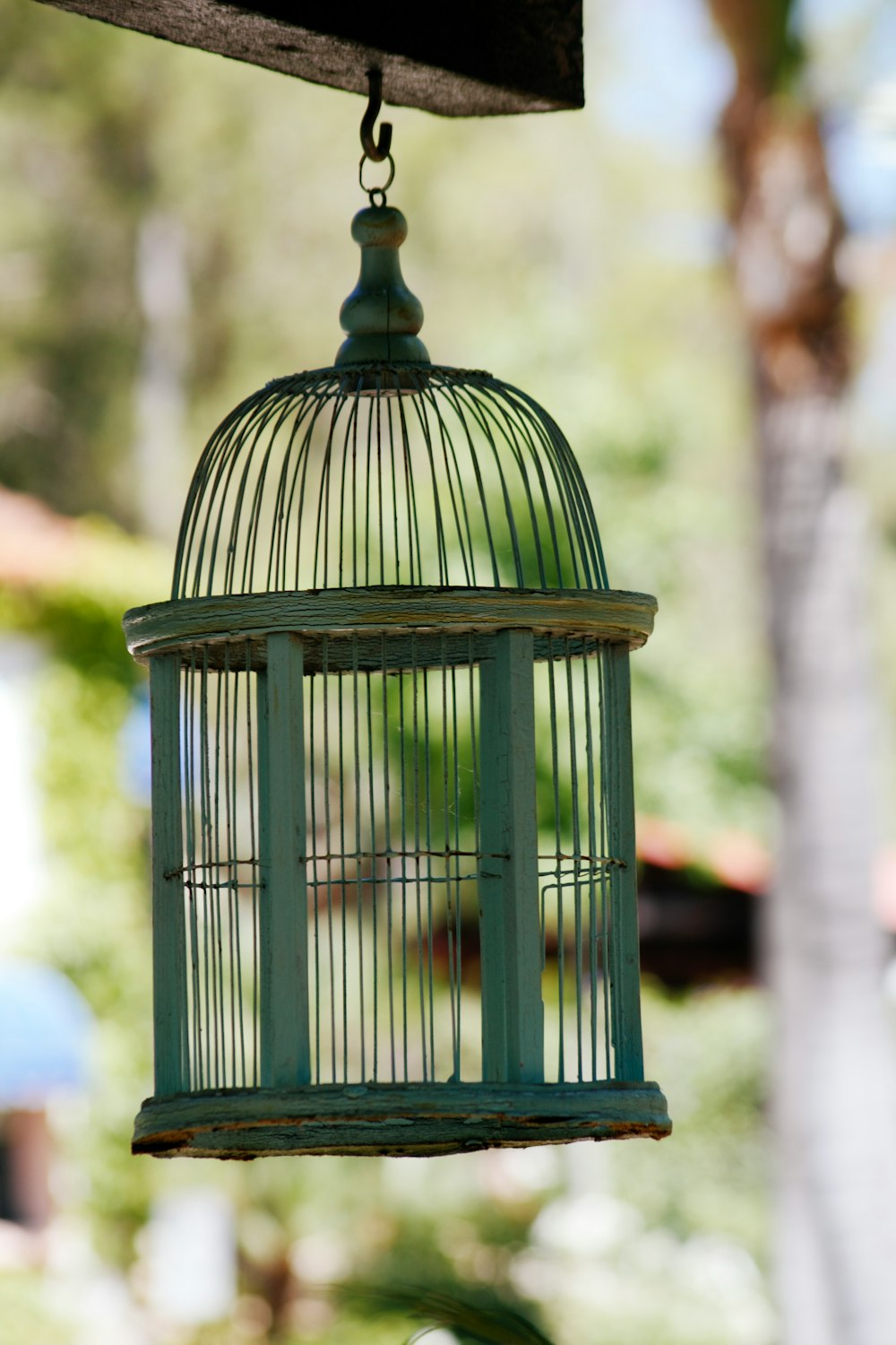 green steel bird cage during daytime