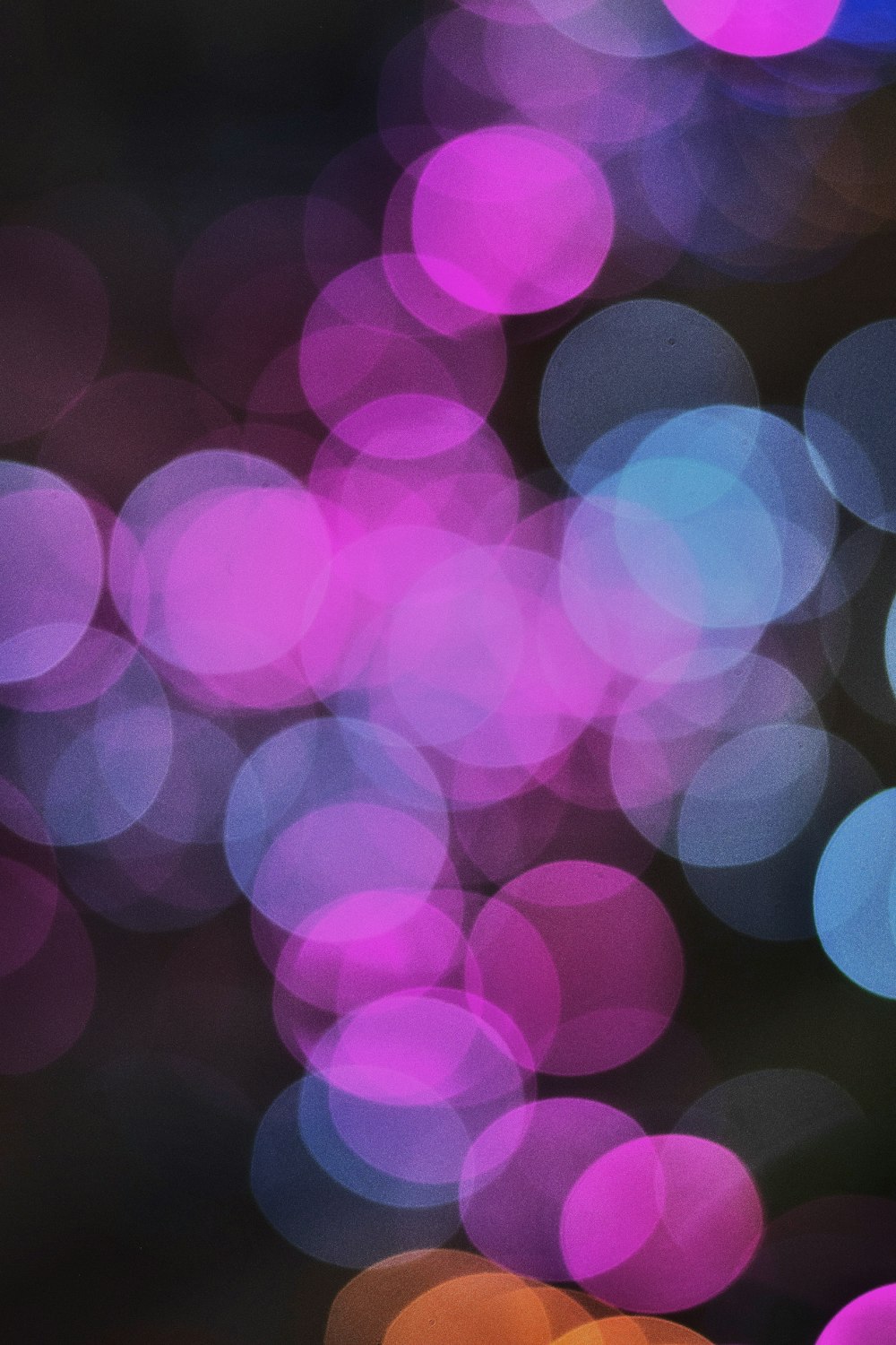 green and purple bokeh lights