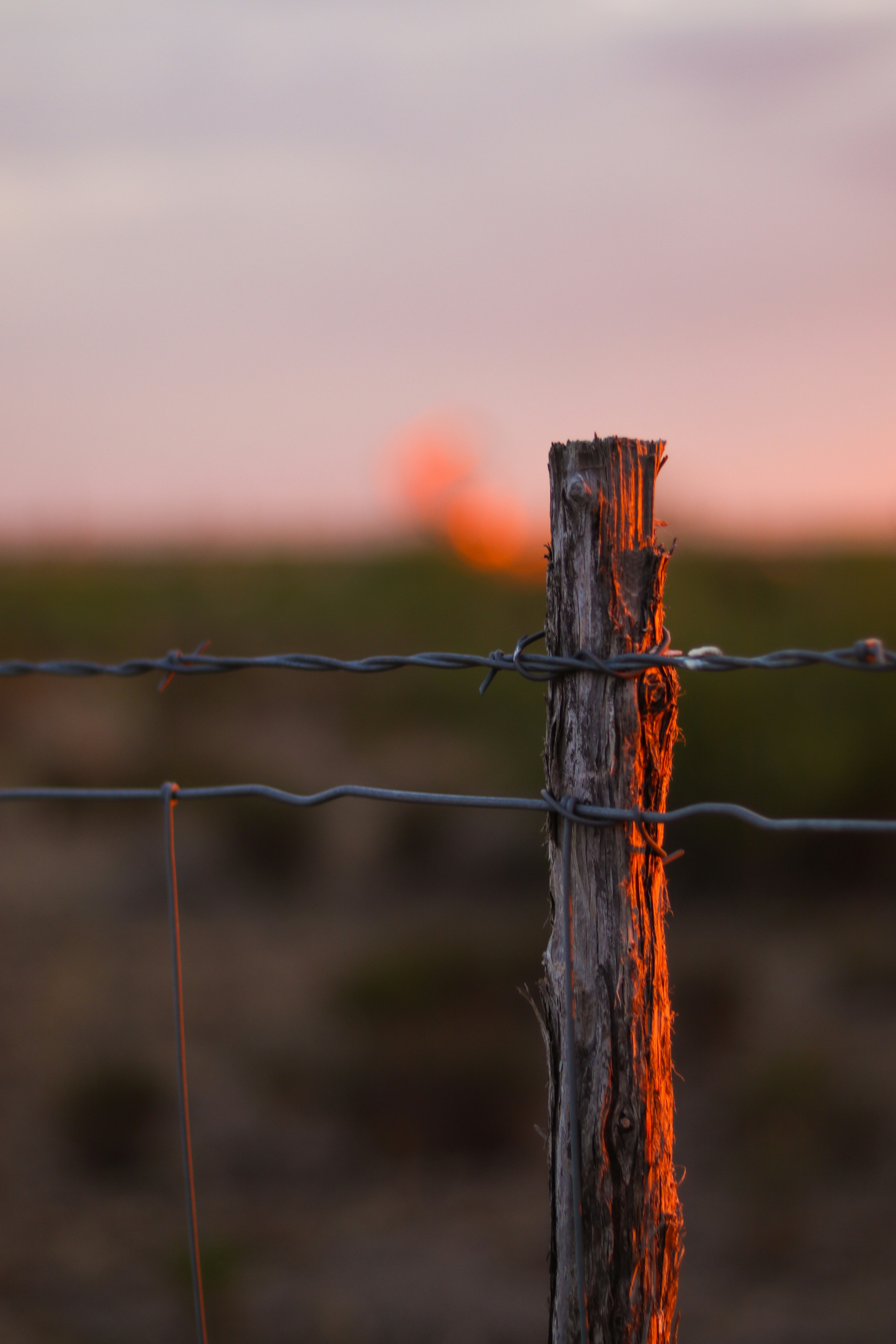 Photo by ryan_lovecchio