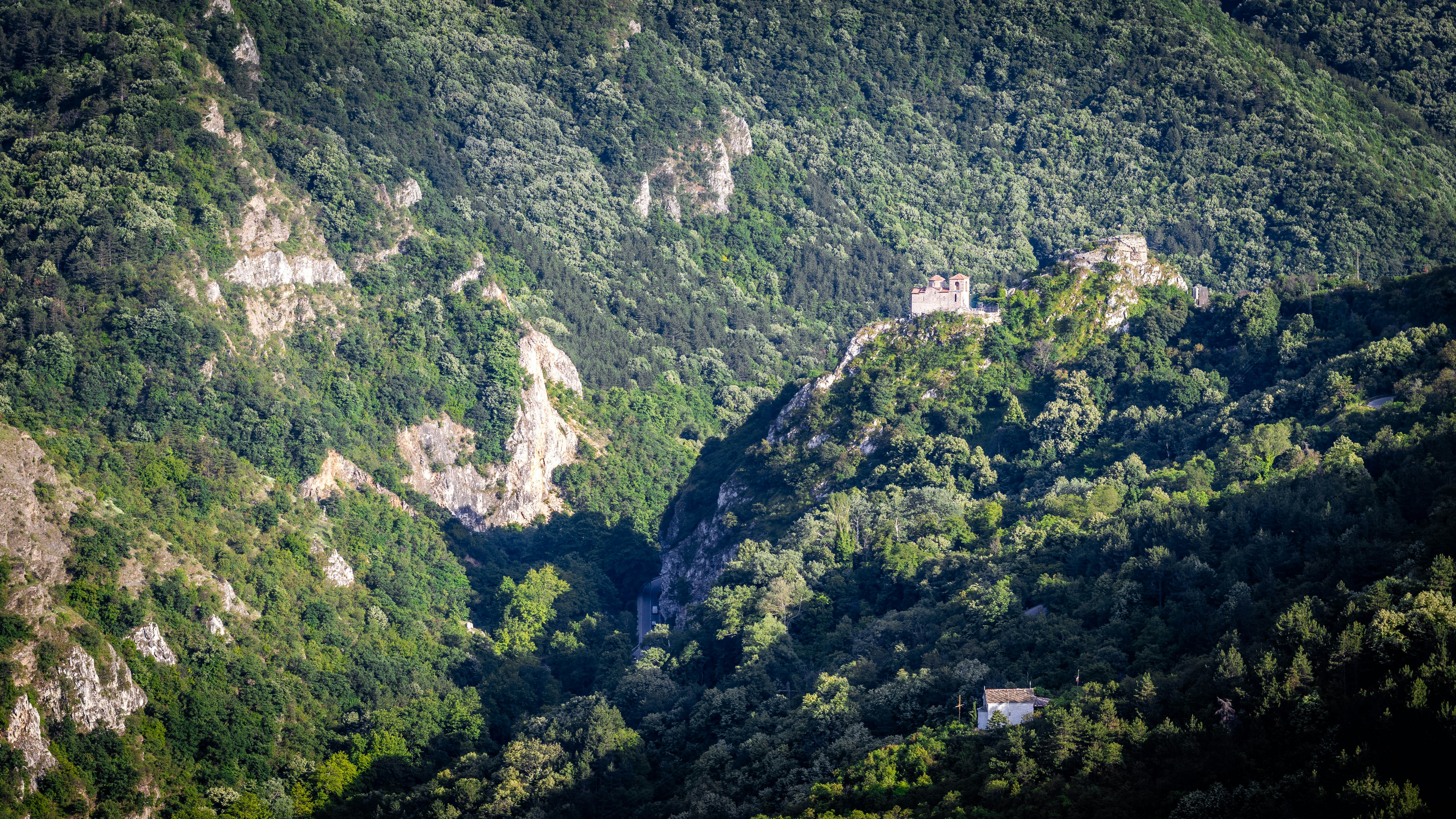 green trees on mountain during daytime, Asen