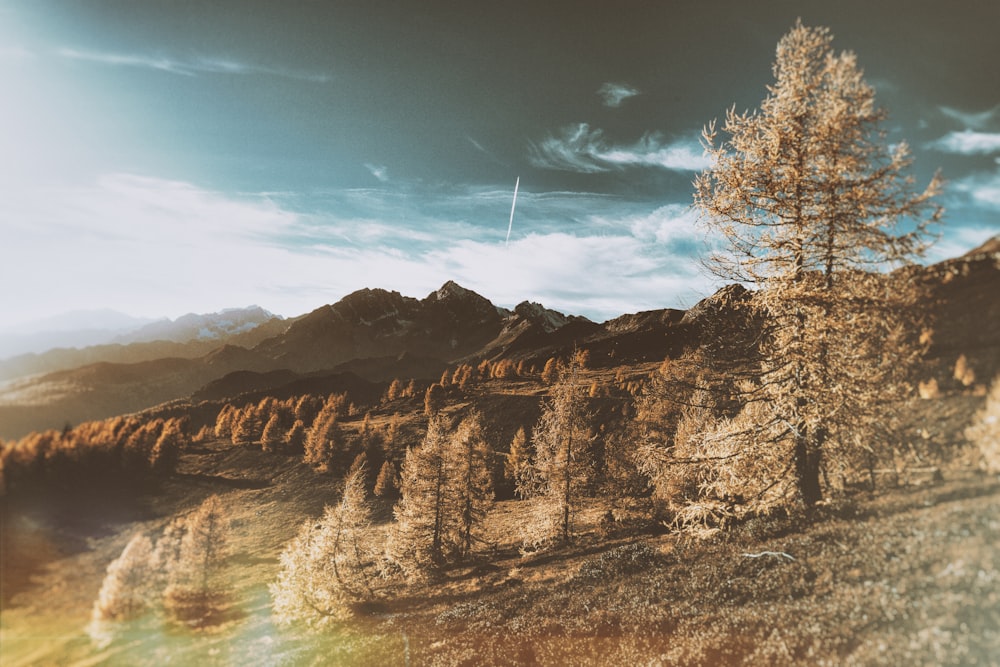 brown rocky mountain under blue sky during daytime