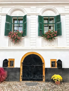 A charming building facade with two large windows framed by green shutters, each adorned with flowering red plants. Below the windows, a cobblestone path leads to a large black iron door with an orange border. On either side of the door are two small window-like openings. A clay pot with bright yellow flowers sits on the right, while a bush of red plants is on the left.