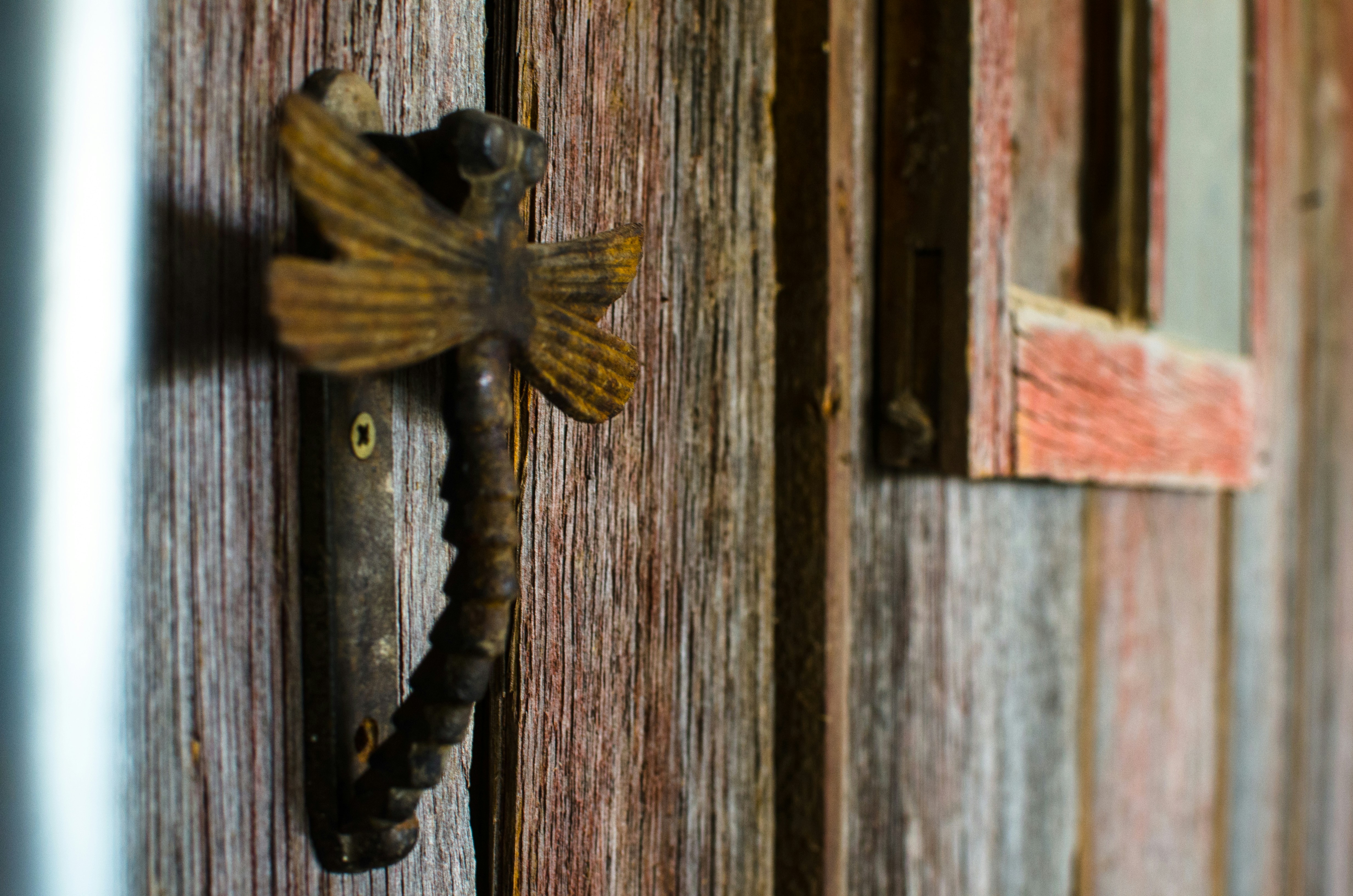 Photo by balderromey