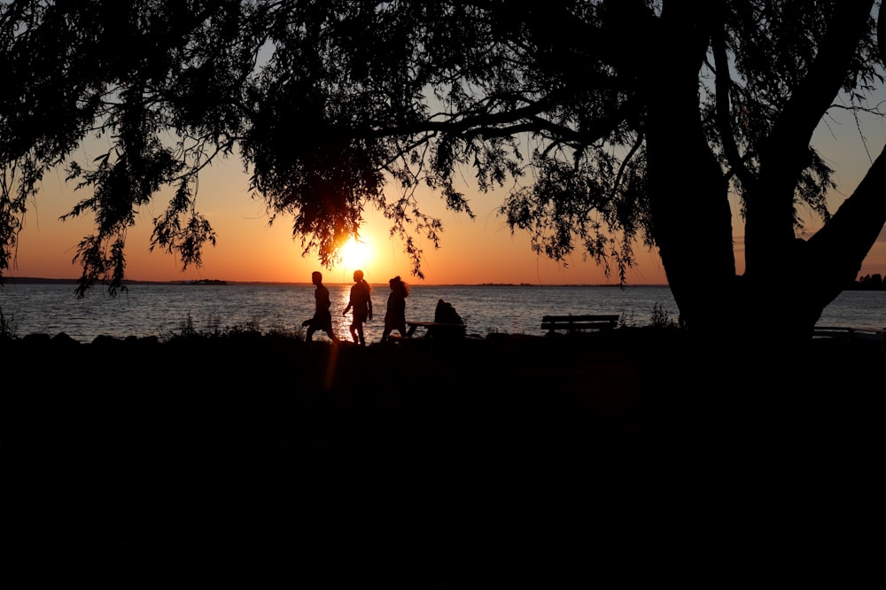 silhouette of 2 people standing on beach during sunset