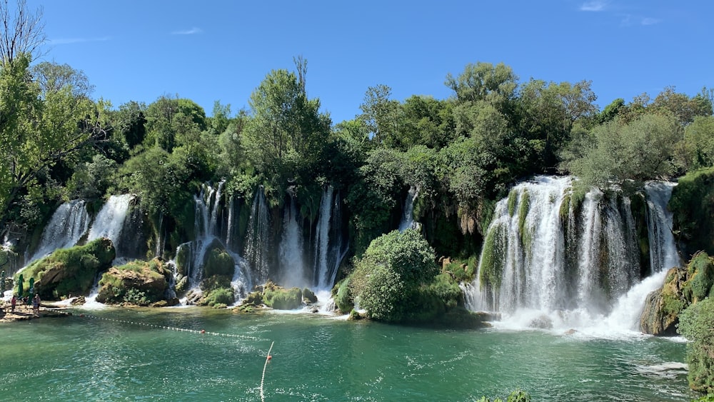 green trees near water falls during daytime