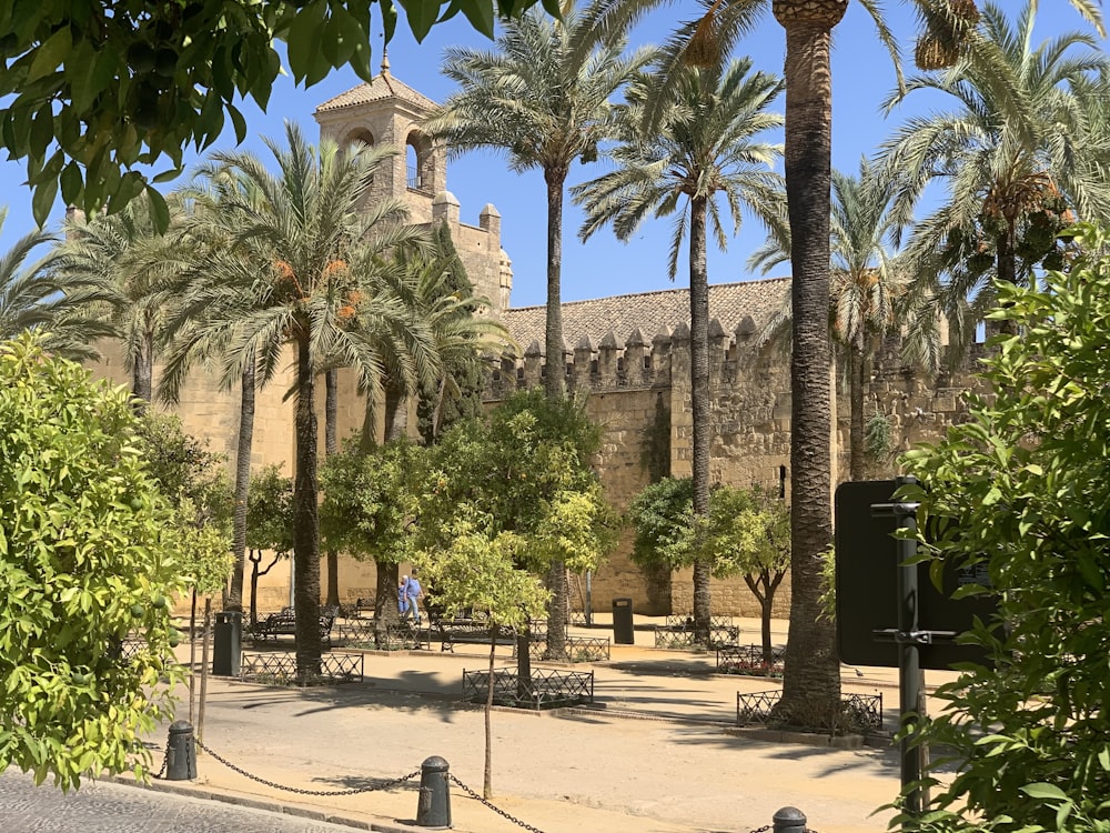 green palm trees near brown concrete building during daytime