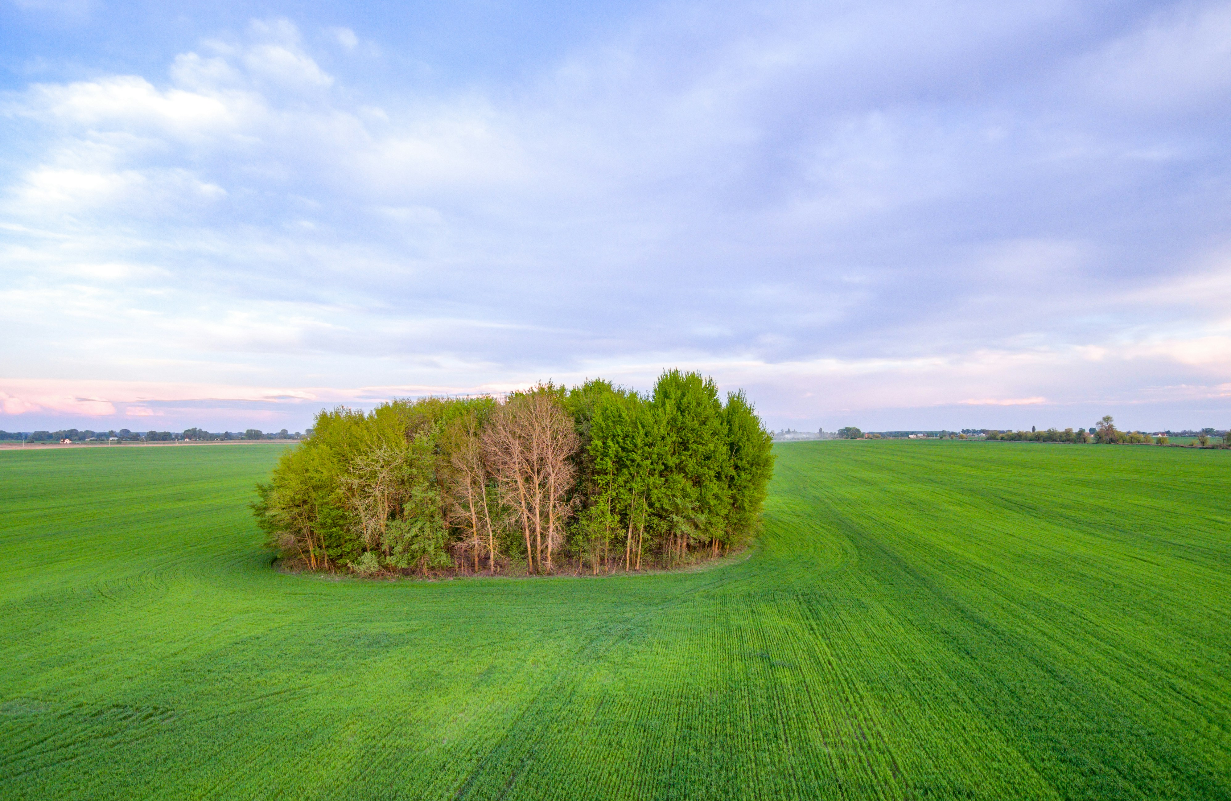 Photo by photofixation