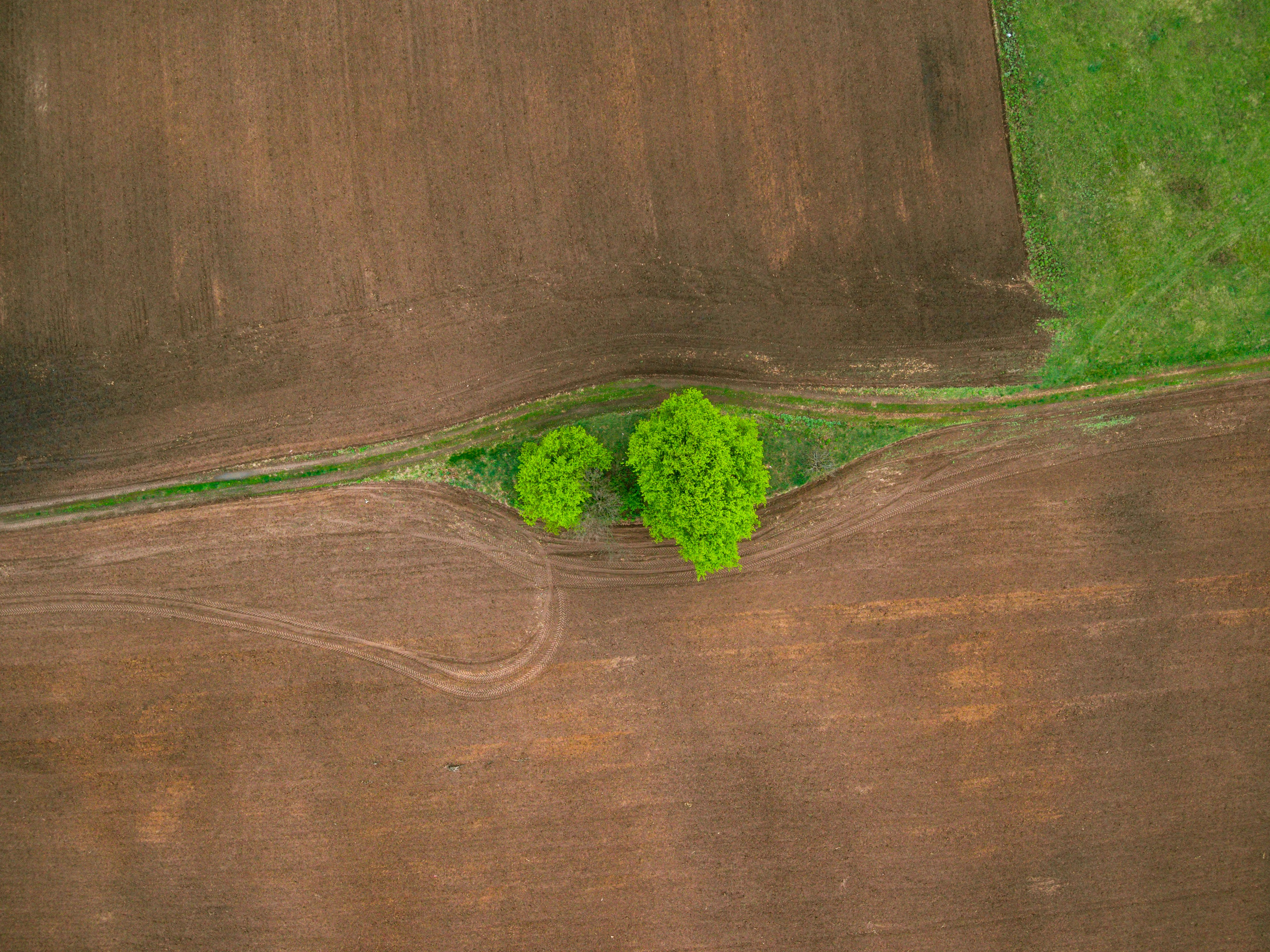 Photo by photofixation