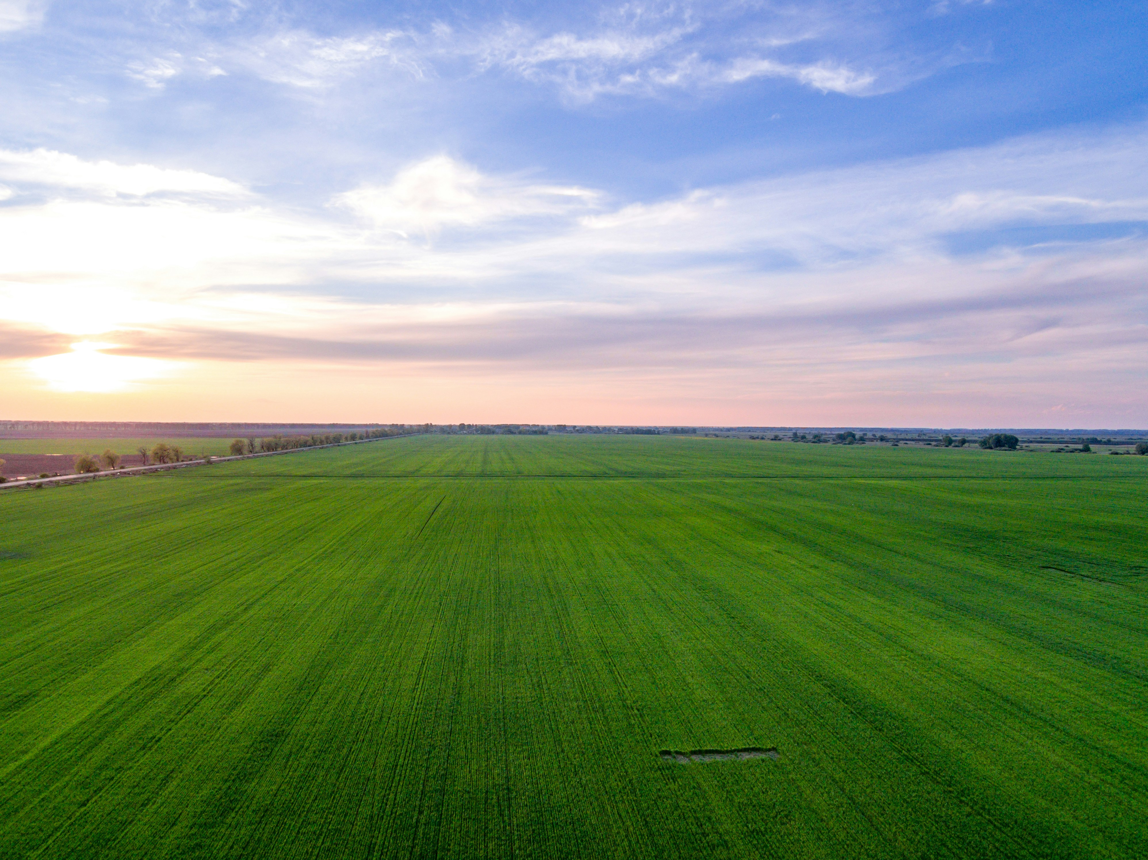 Photo by photofixation