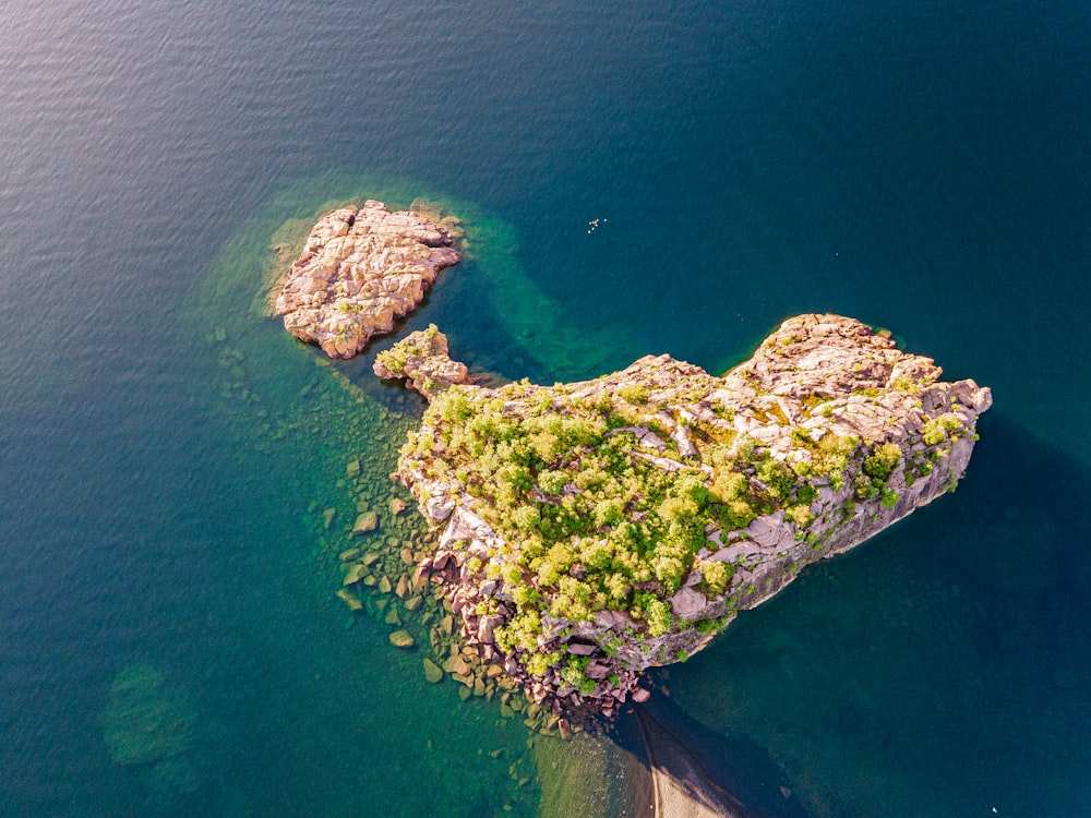 green moss on rock formation in the middle of the sea