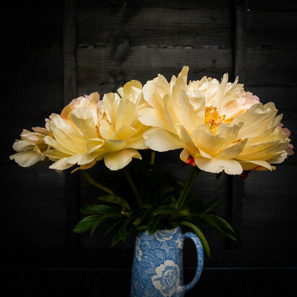 white and yellow flower in blue and white ceramic vase