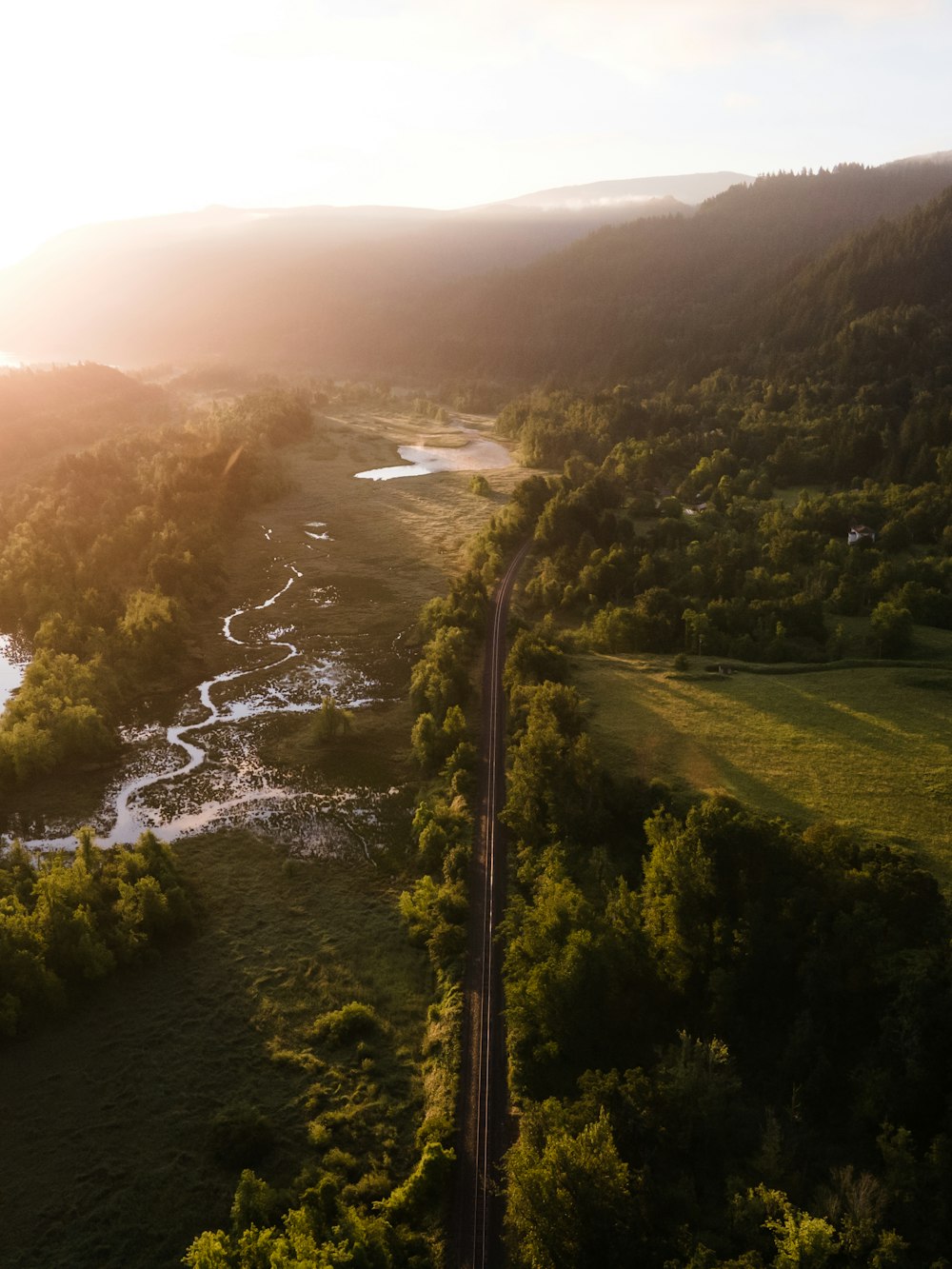 green trees and river during daytime