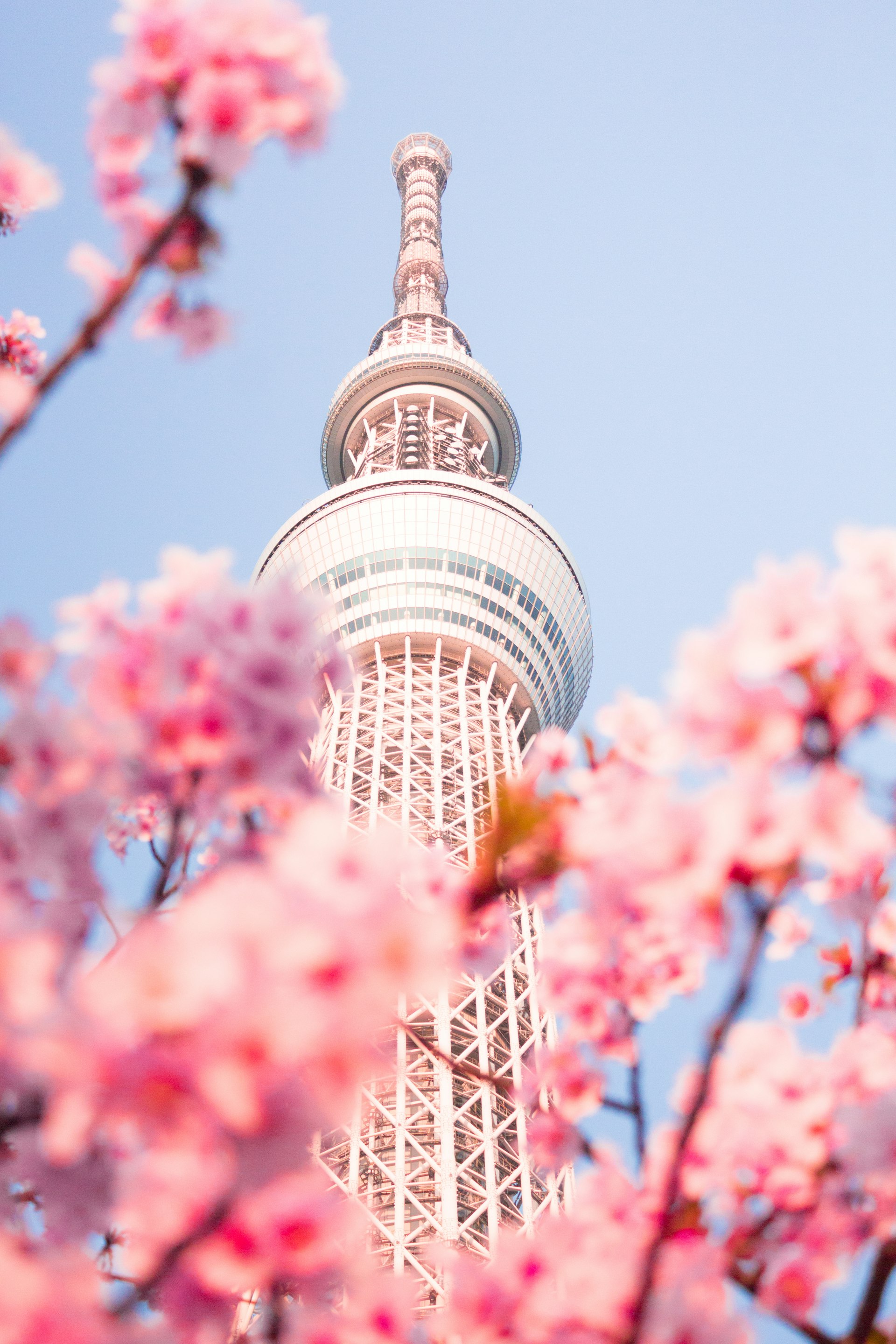 Asakusa Senso-ji temple with Tokyo Skytree