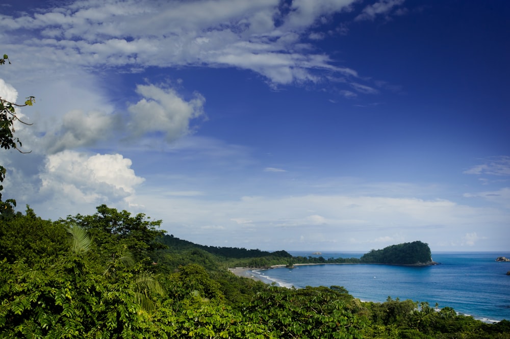 árboles verdes cerca del cuerpo de agua bajo el cielo azul y las nubes blancas durante el día