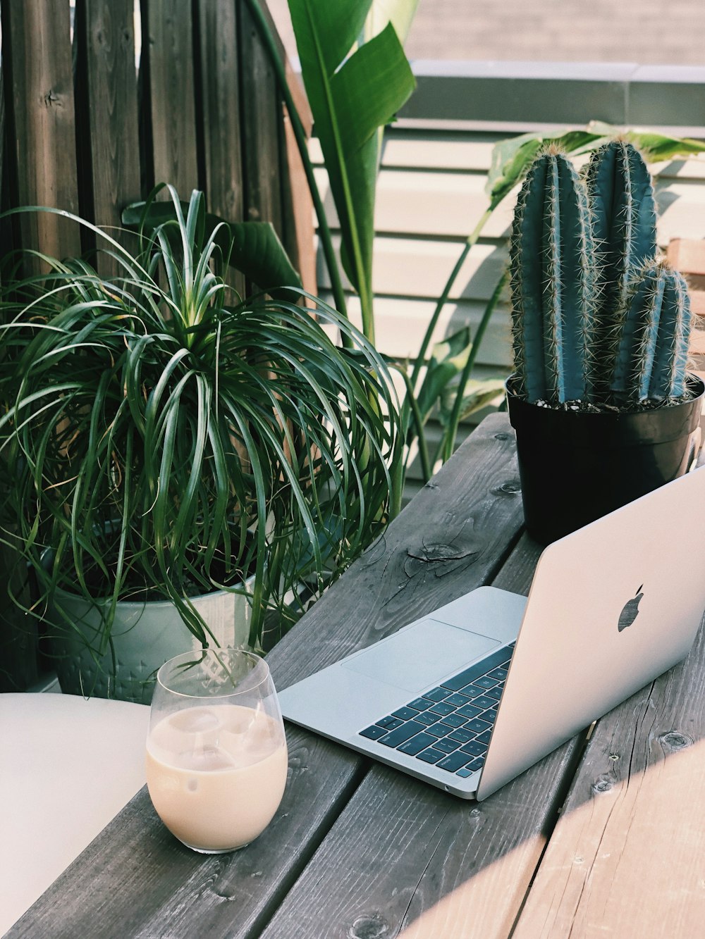 silver macbook beside green plant