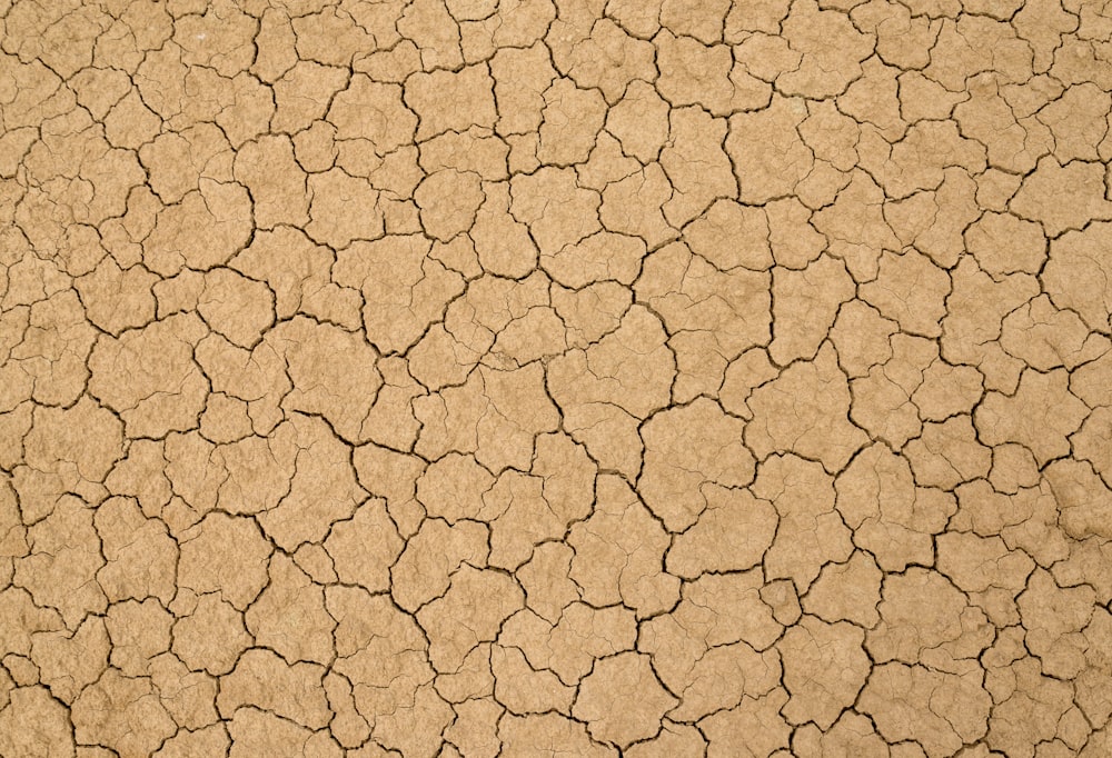 brown and black concrete floor