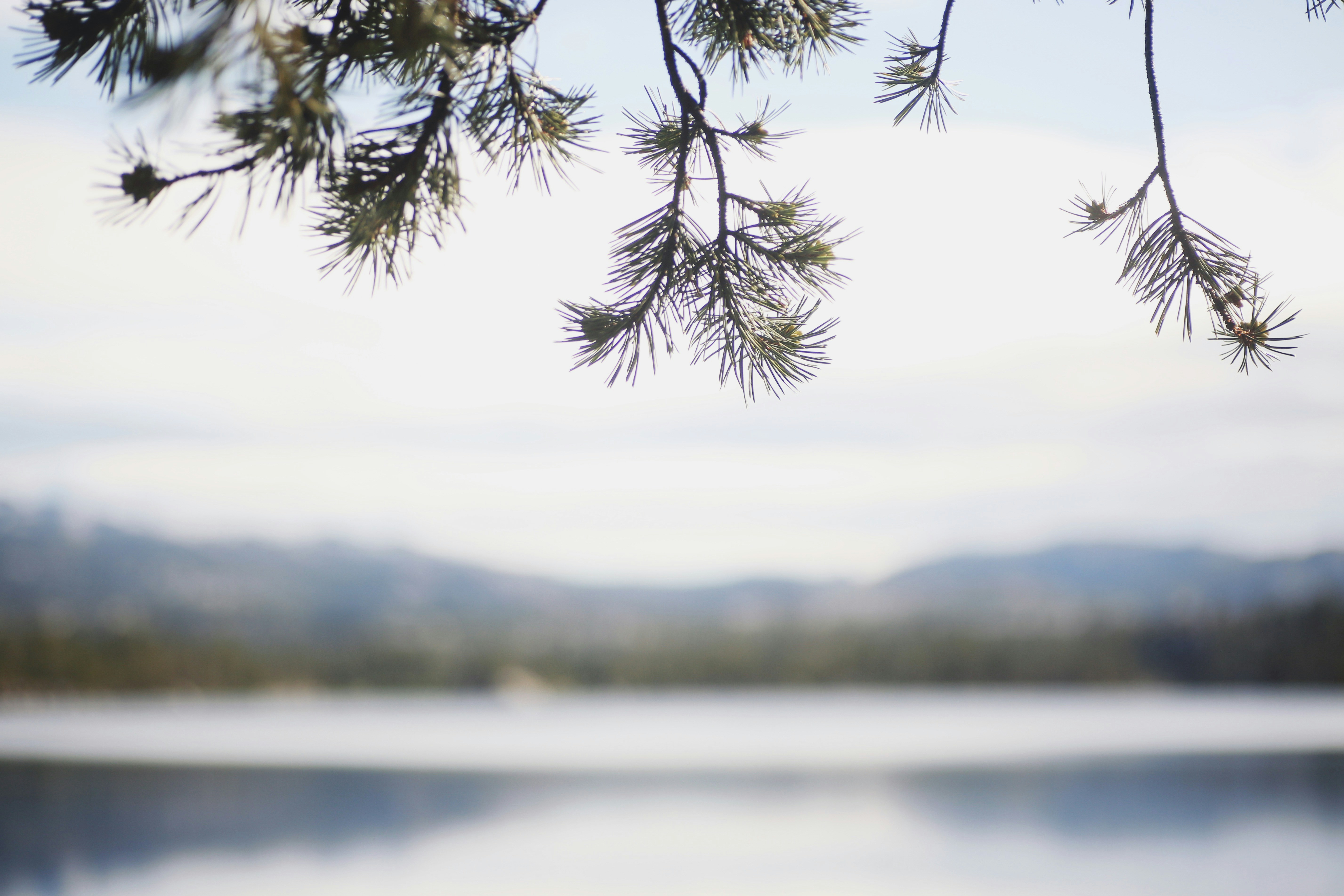 Photo by giorgiotrovato