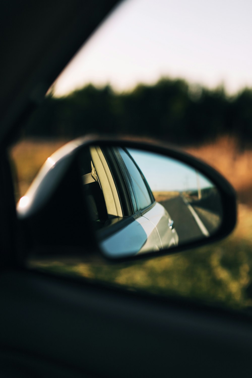 specchietto retrovisore nero dell'auto che riflette gli alberi verdi durante il giorno