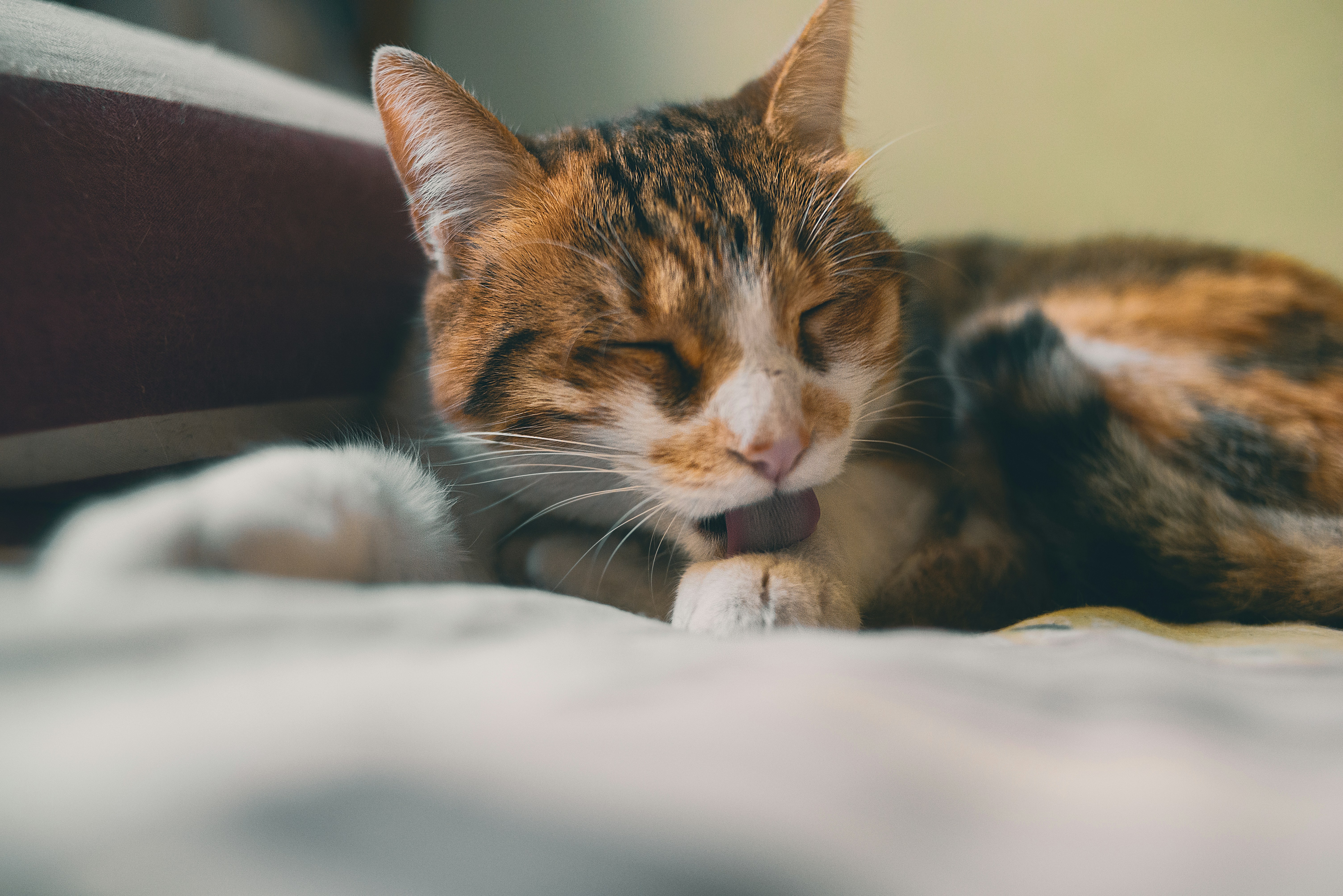 Photo by agustinfernandez