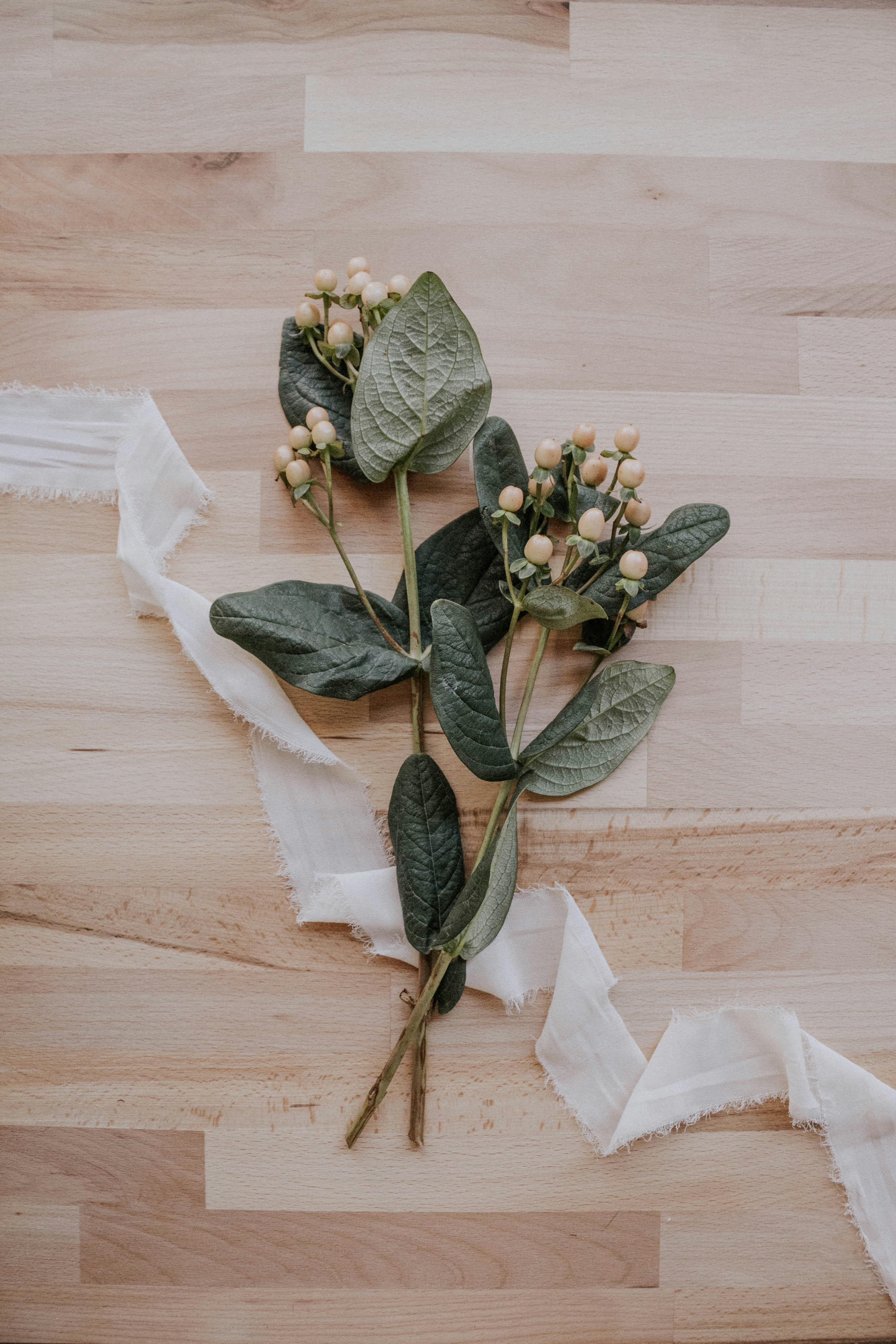 Photo by thewildflowerpress