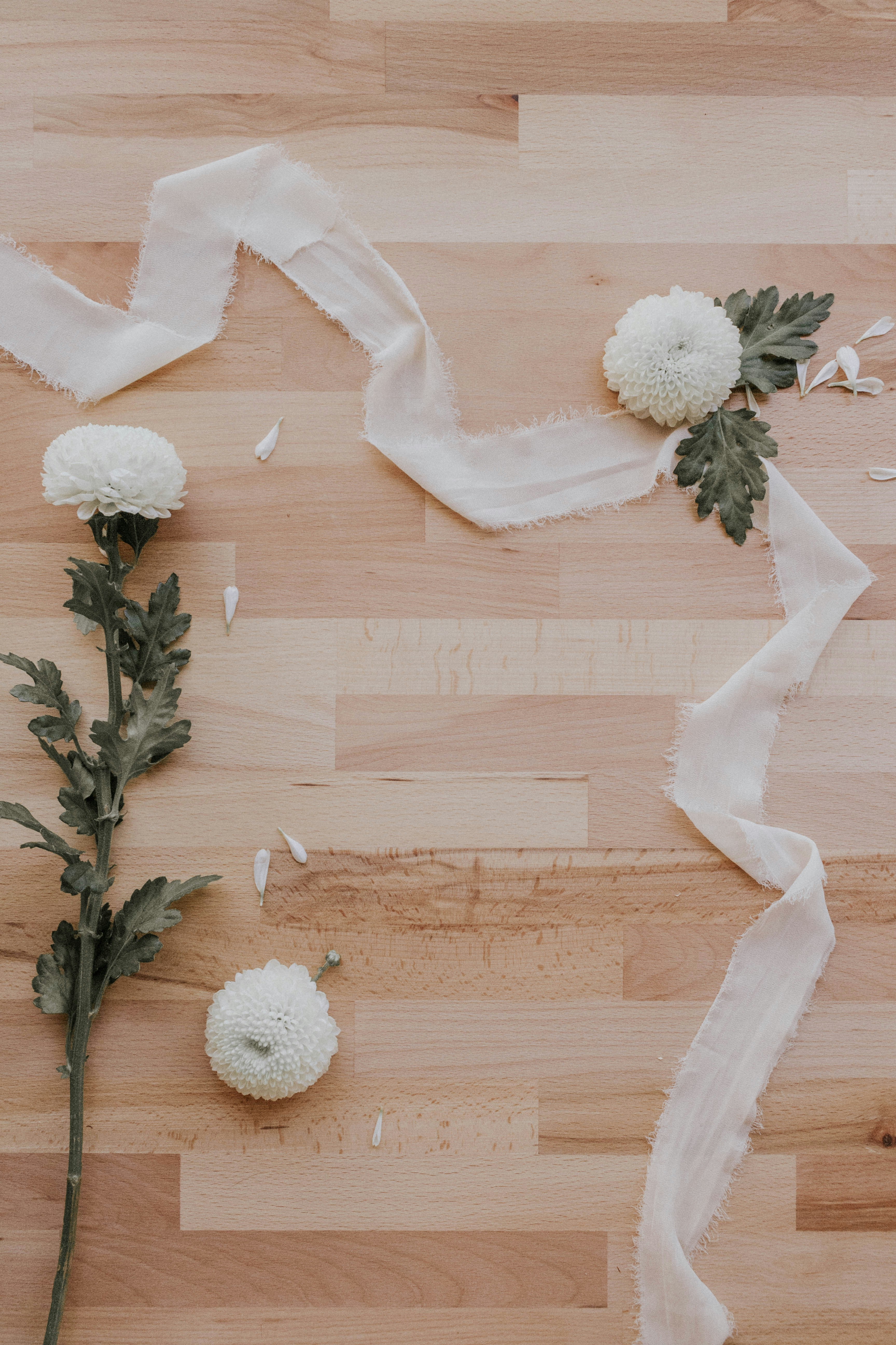 Photo by thewildflowerpress