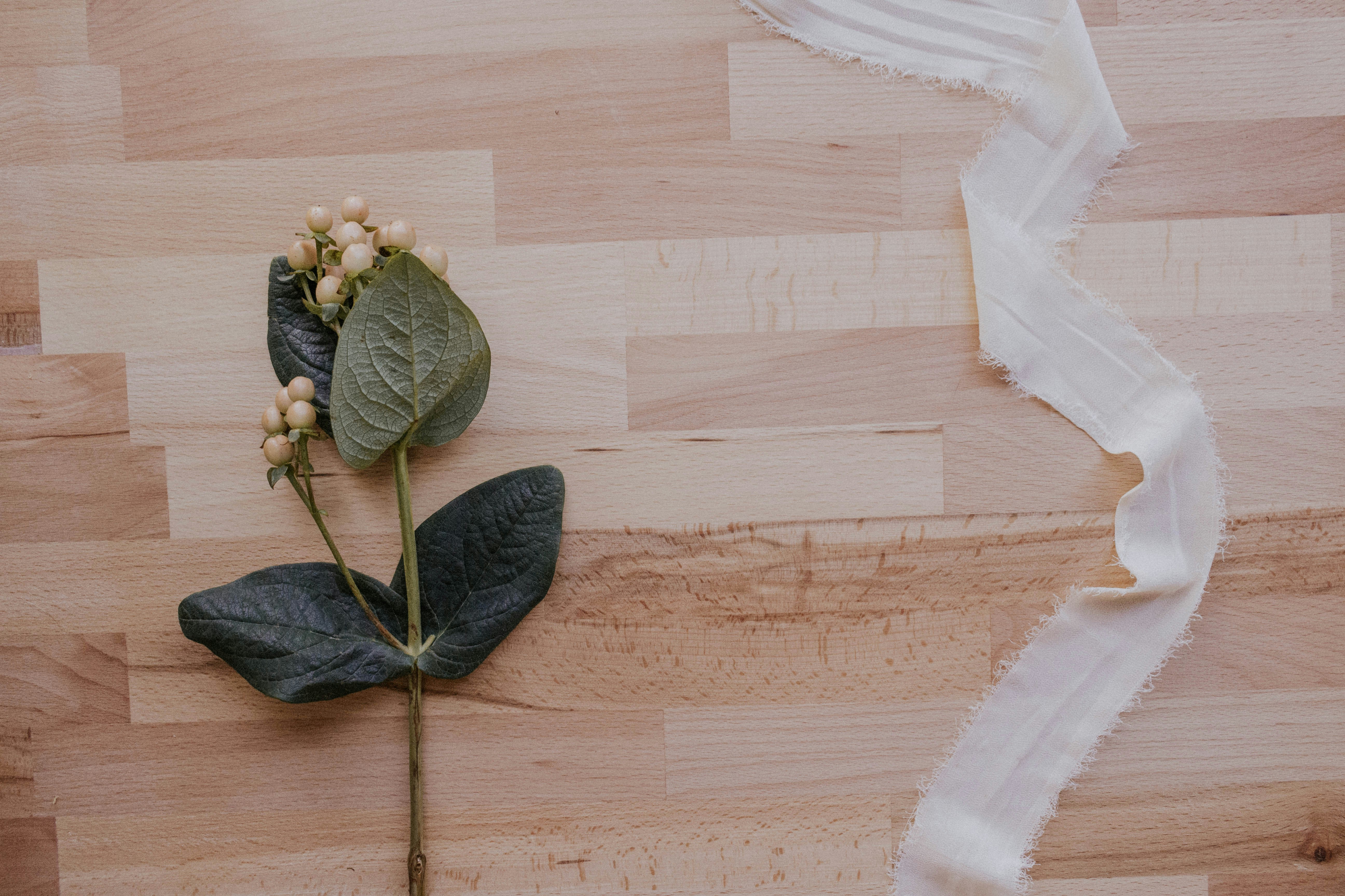 Photo by thewildflowerpress