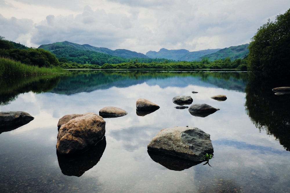 gray rocks on lake during daytime