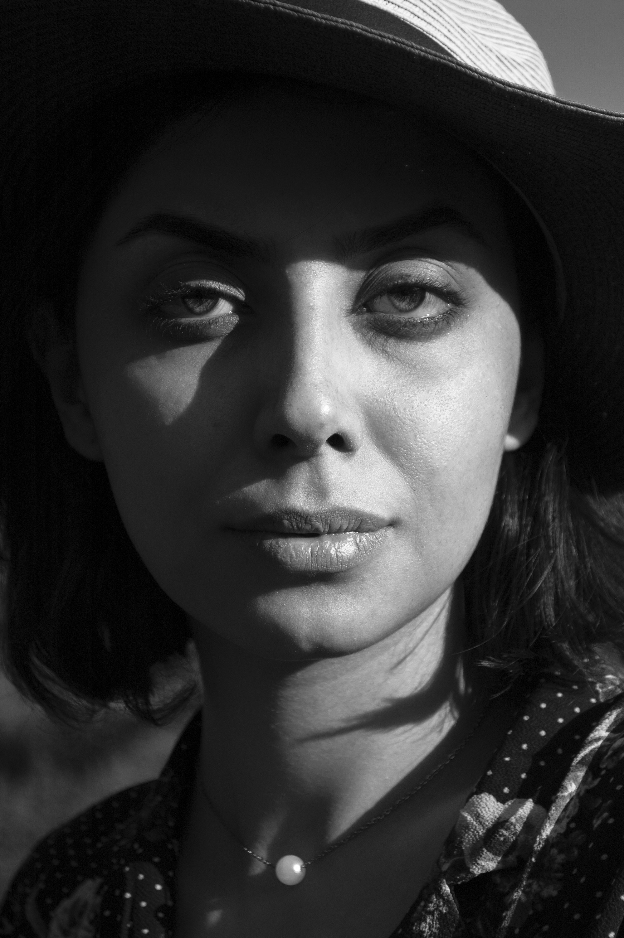 Photo by baranlotfollahi