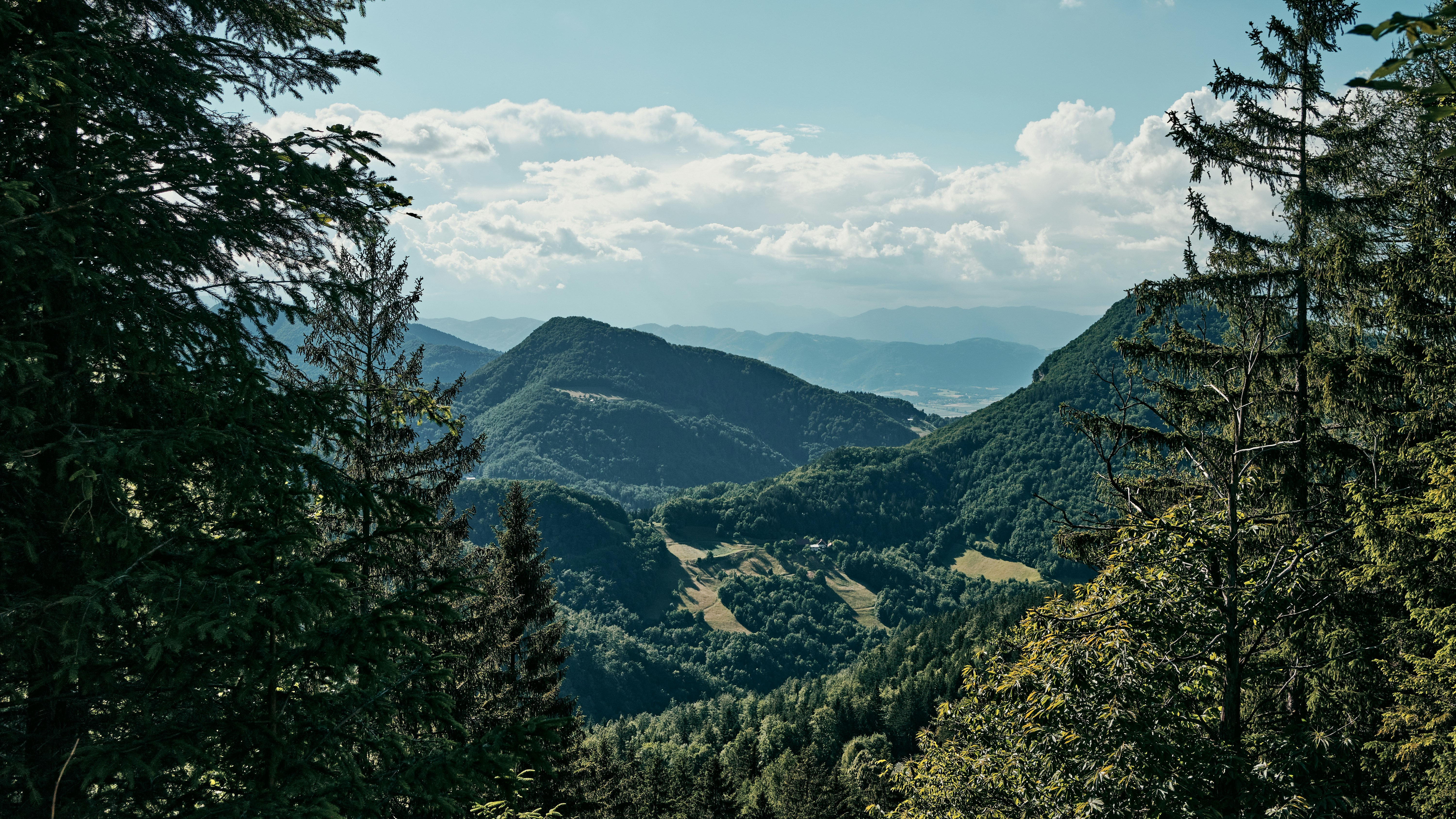 Photo by kristjankotar