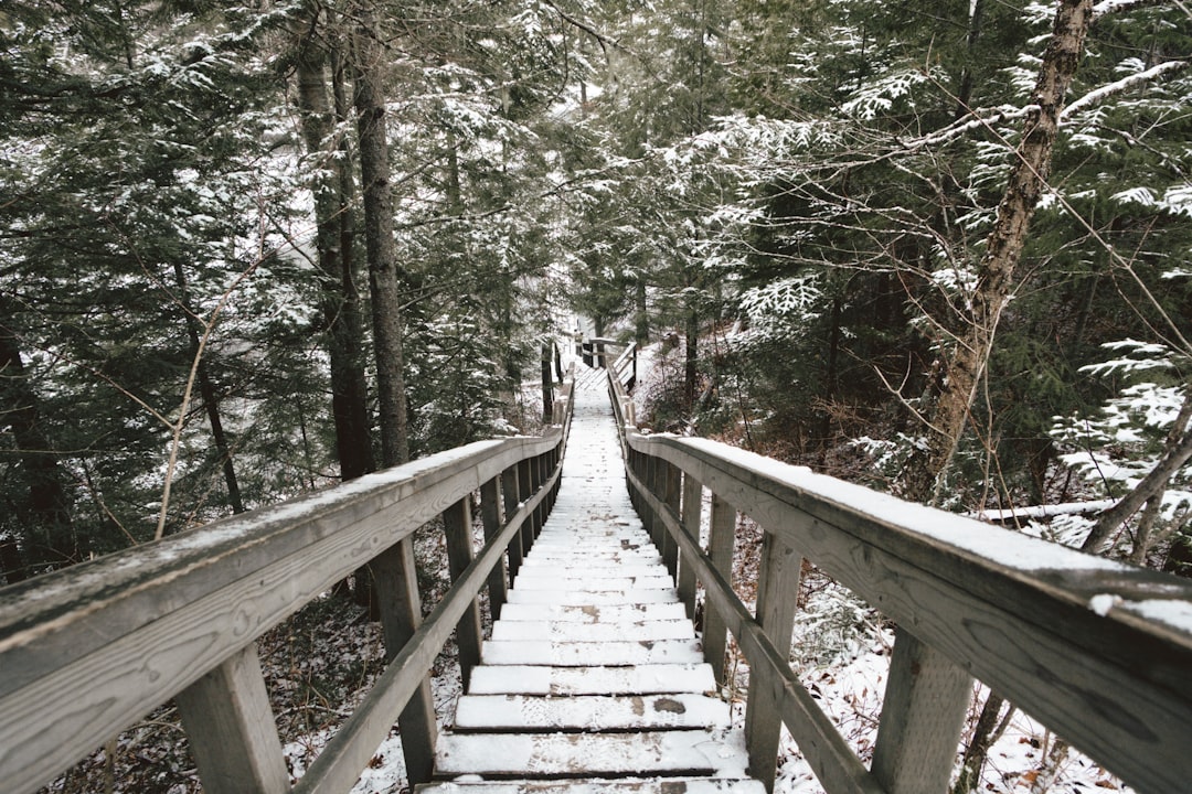 Travel Tips and Stories of Parc national de la Jacques-Cartier in Canada