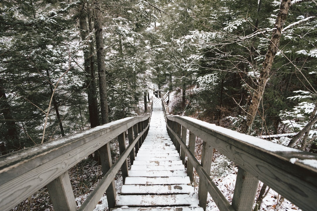travelers stories about Suspension bridge in Parc national de la Jacques-Cartier, Canada