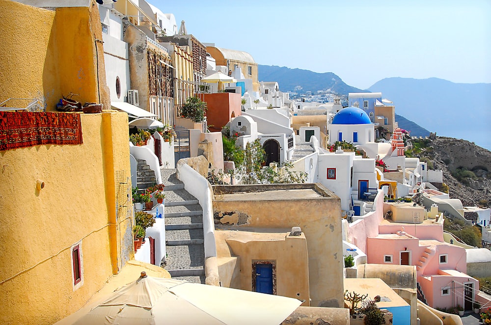 white and brown concrete buildings during daytime