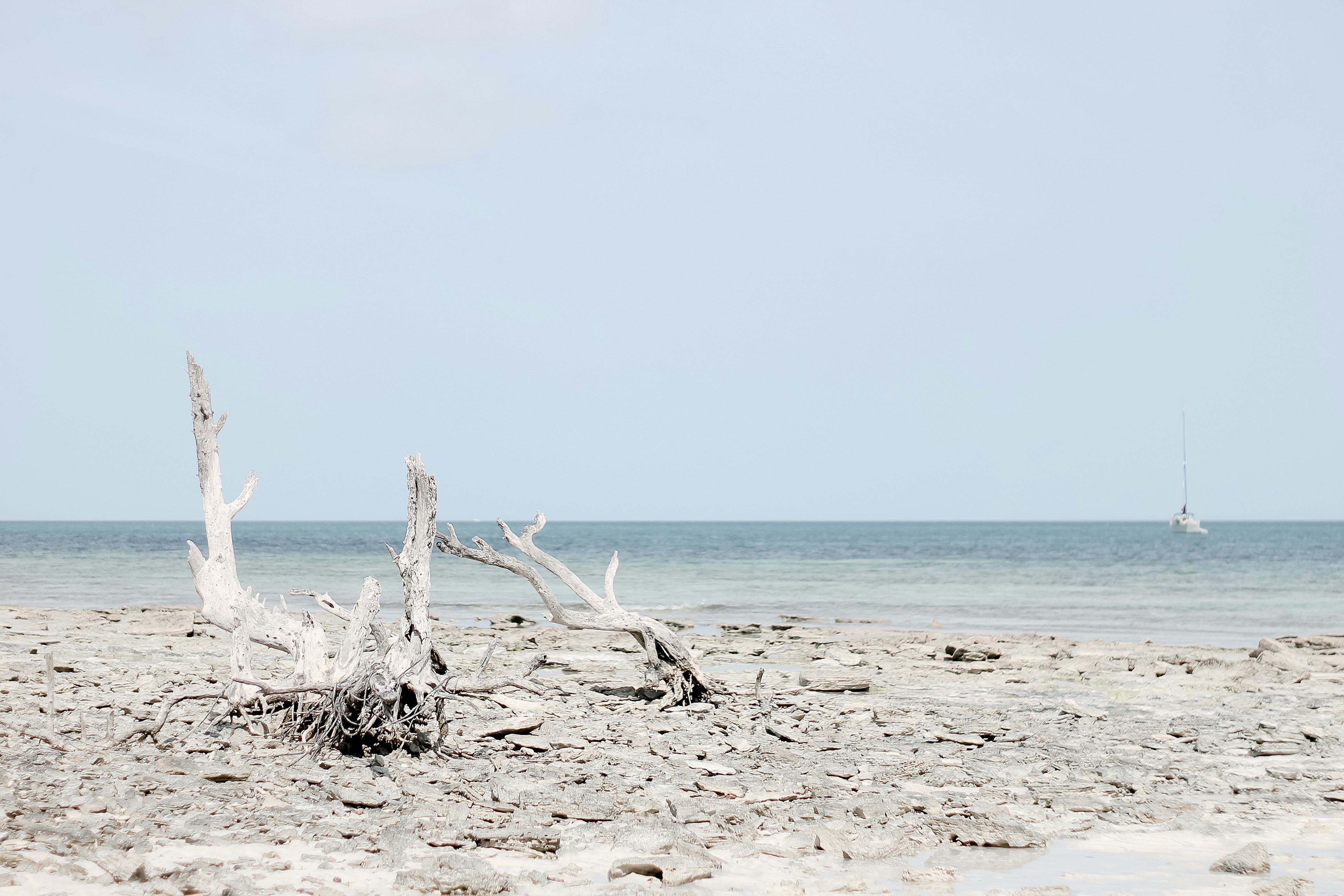 昼間の白砂のビーチ