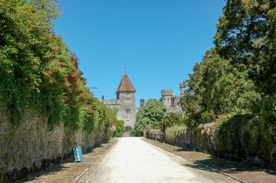 white and brown concrete building near green trees under blue sky during daytime in Lismore Castle Ireland