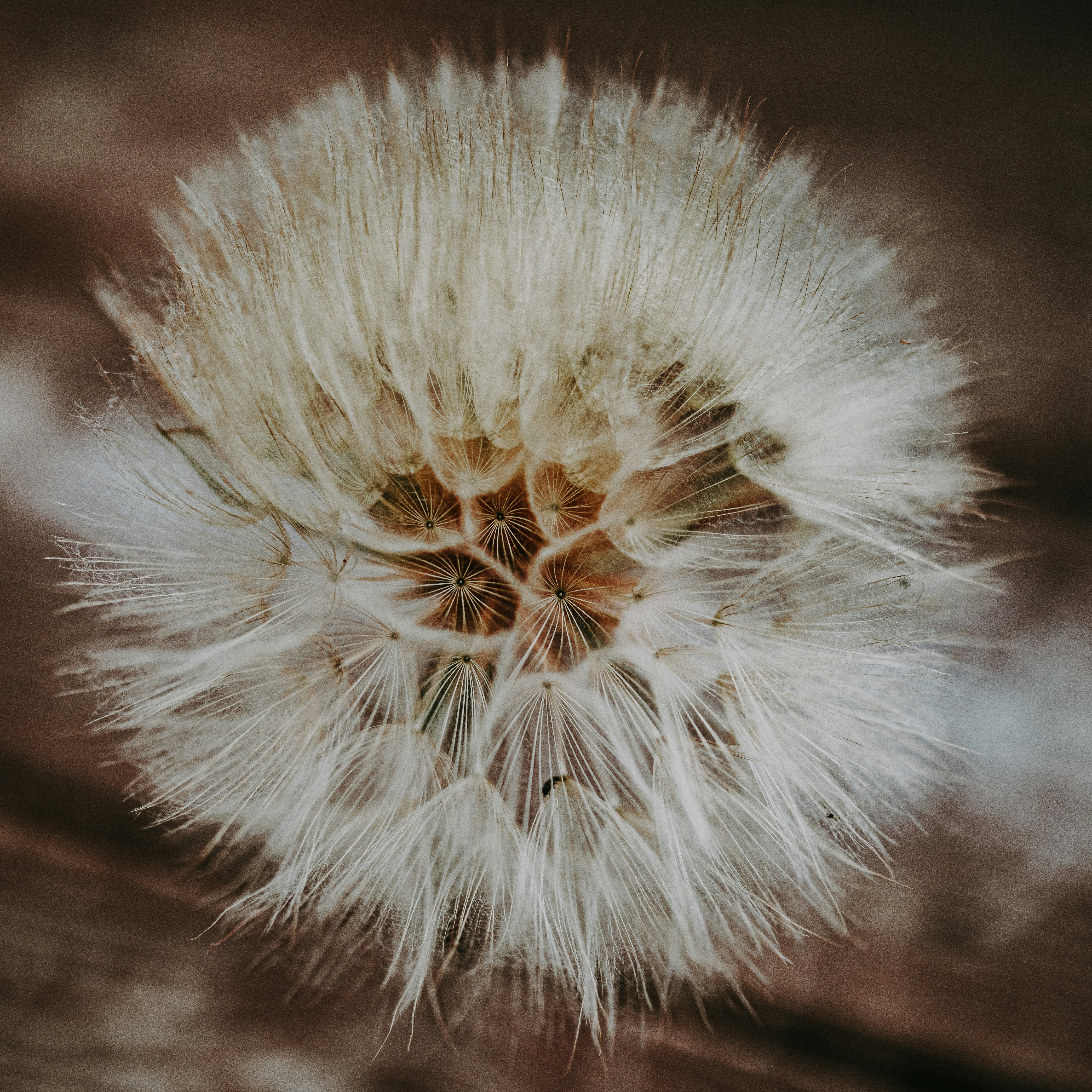 Photo by seitamaaphotography