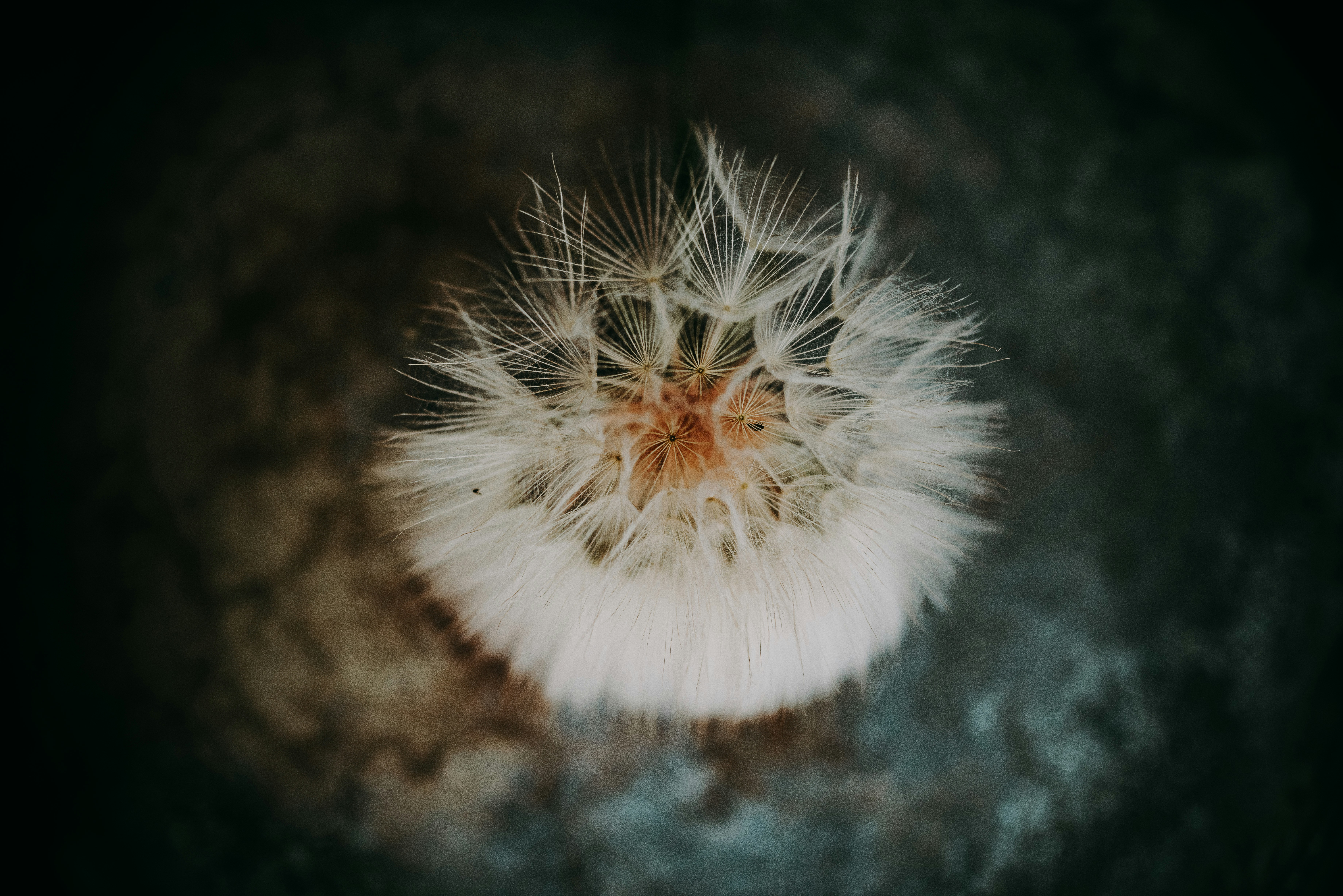 Photo by seitamaaphotography