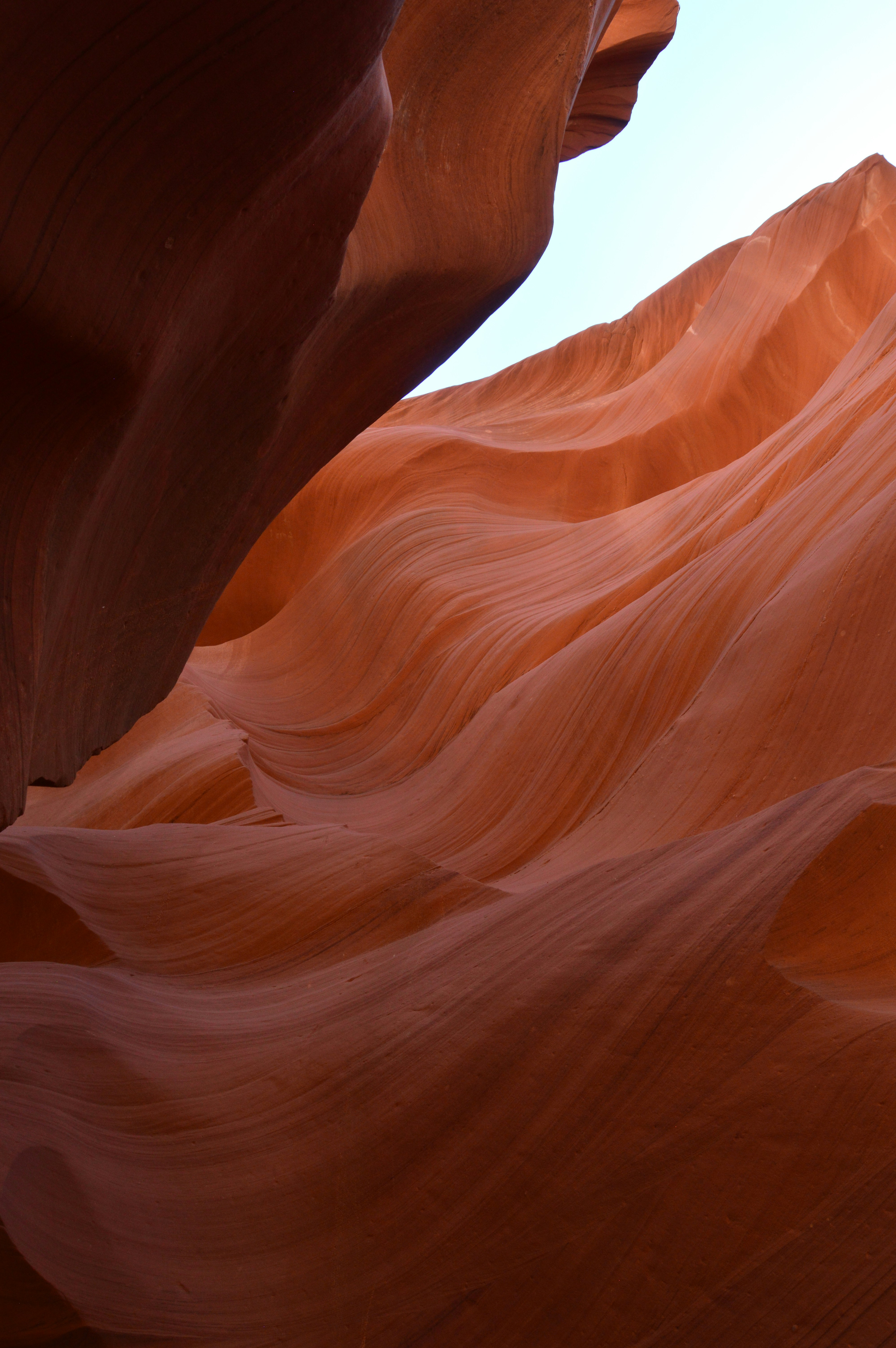 Photo by jquisenberry