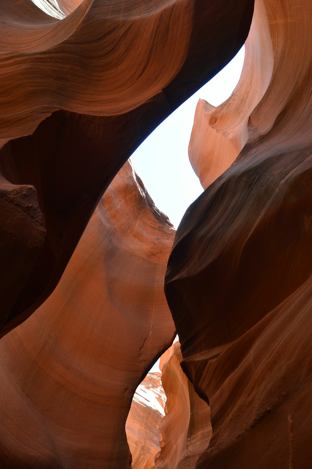 brown rock formation during daytime