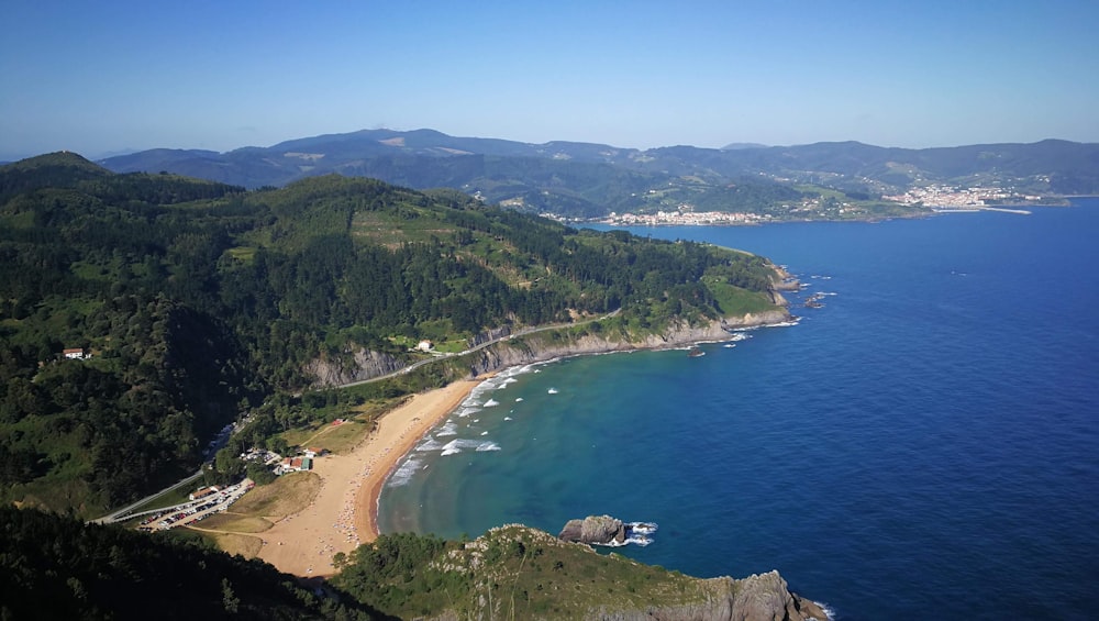 aerial view of green trees and blue sea during daytime