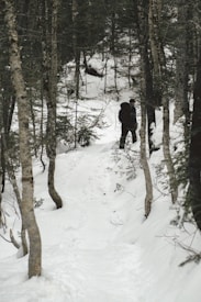 A person wearing outdoor gear walks along a snow-covered path surrounded by tall trees in a dense forest. The scene is tranquil with a heavy blanket of snow covering the ground and the branches of the trees.