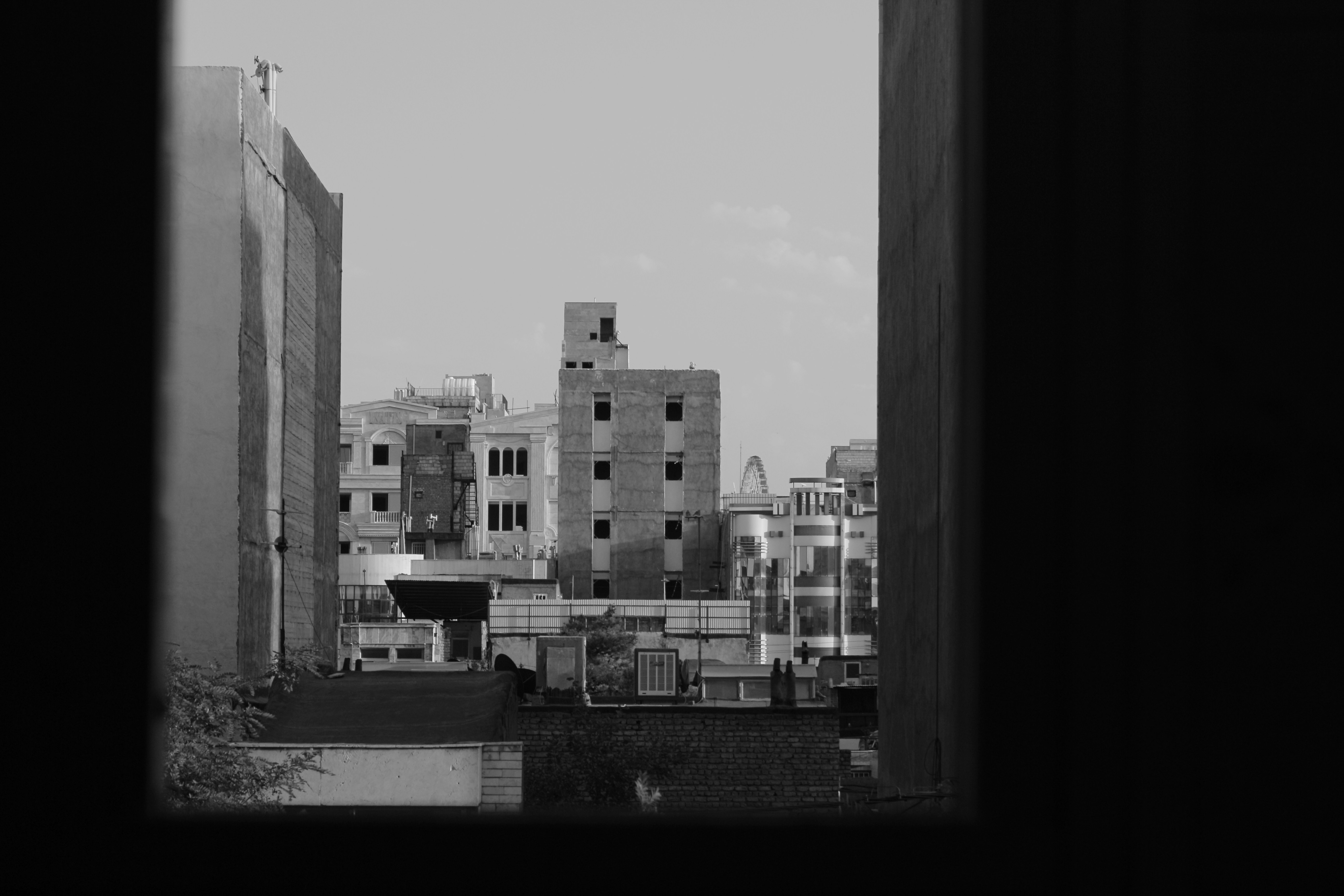 Photo by mojak8731