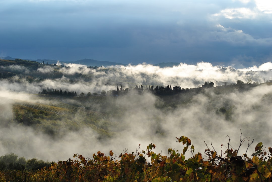 Hill photo spot Greve in Chianti San Gimignano